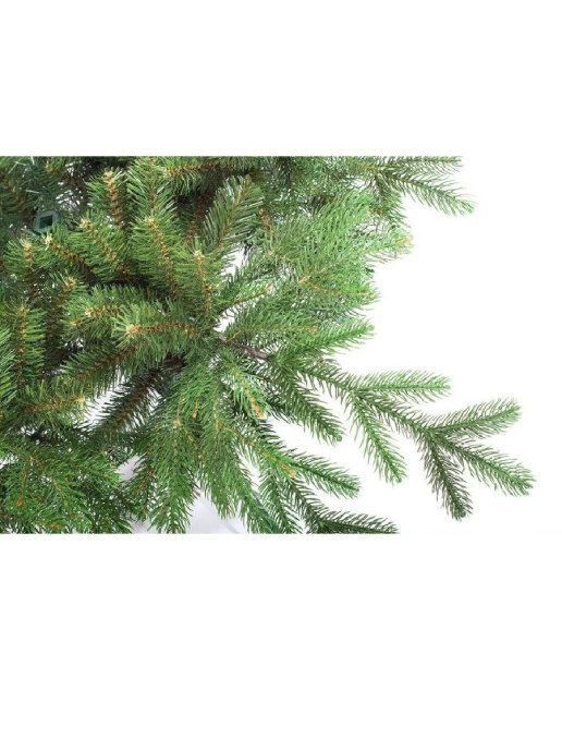 царь елка раскидистая 240