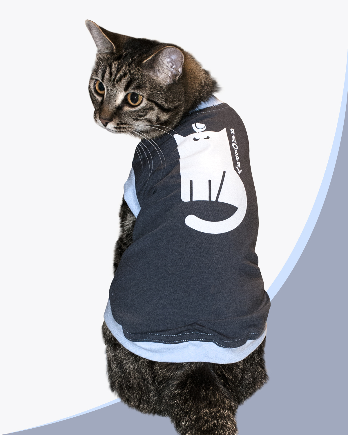 Футболка для кошек / Я добряу / Одежда для собак мелких пород / Одежда для  кошек / Одежда для кошек сфинксов - купить с доставкой по выгодным ценам в  интернет-магазине OZON (261093465)
