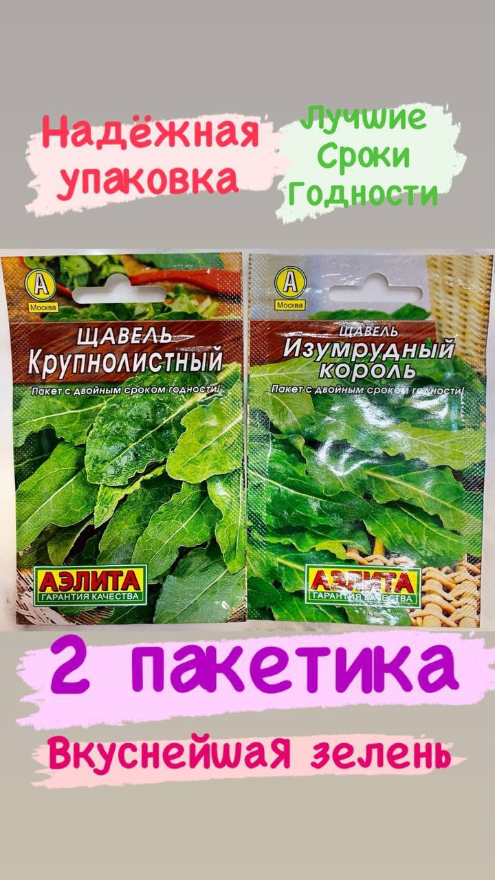 Семена Аэлиты Купить