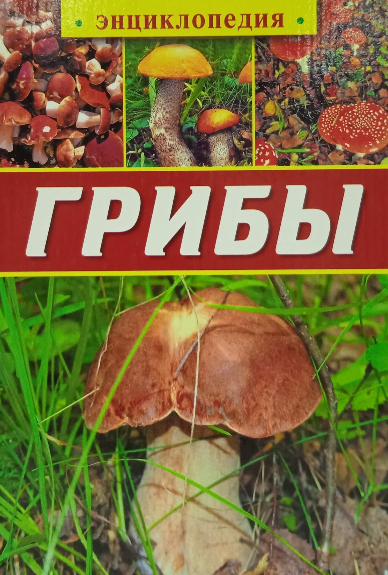 Книги про грибы