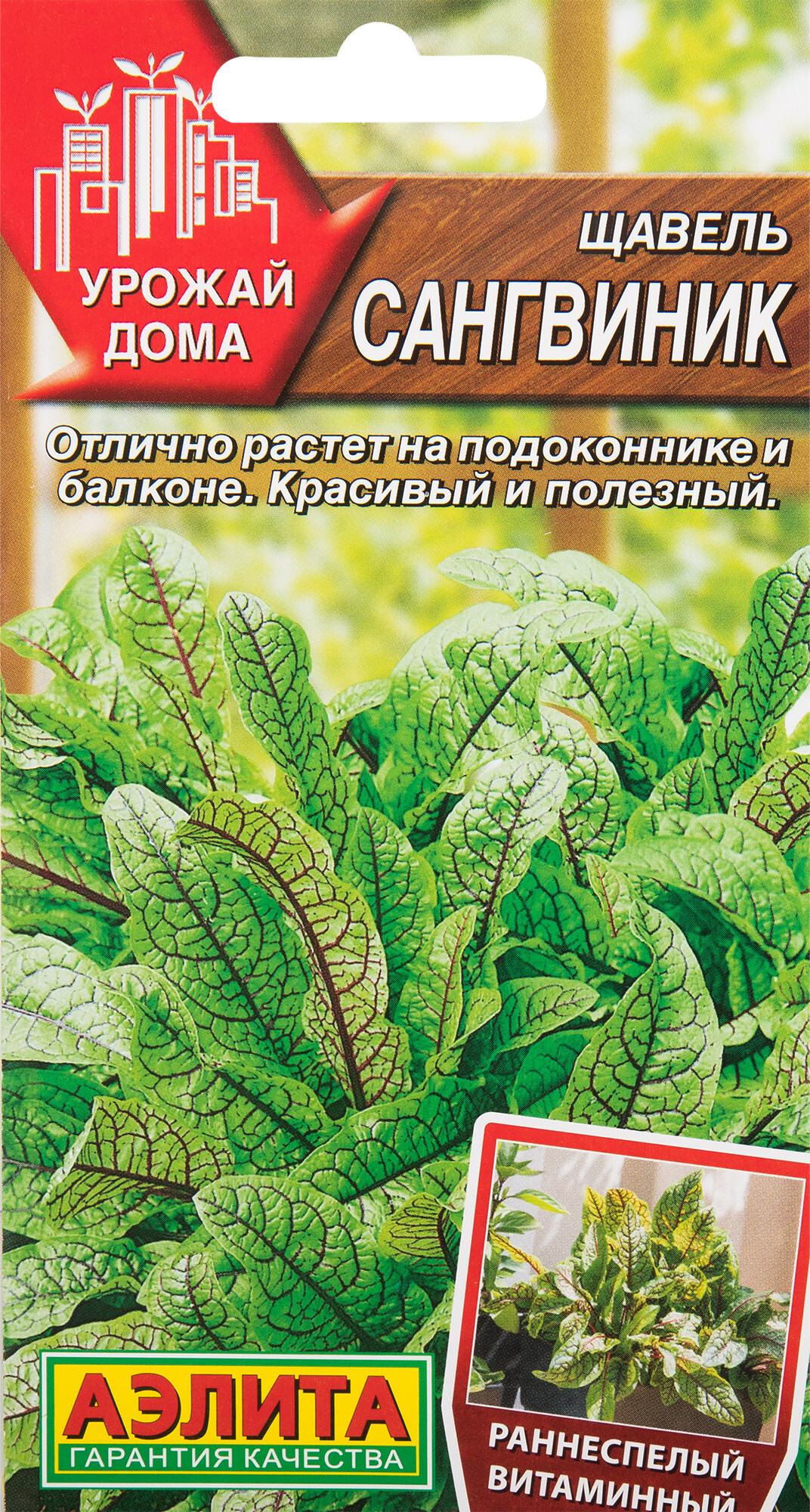 Щавель Аэлита 1_Щавель Сангвиник - купить по выгодным ценам в  интернет-магазине OZON (547091323)