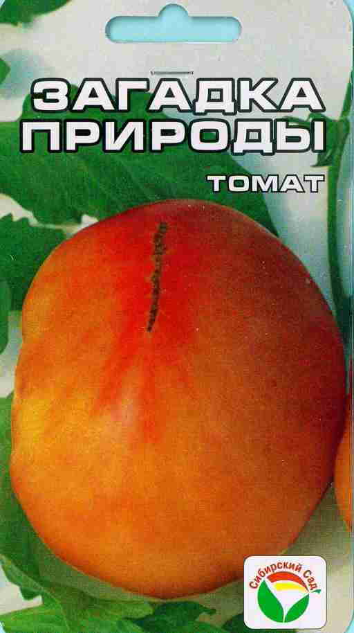 Томат загадка природы фото описание отзывы