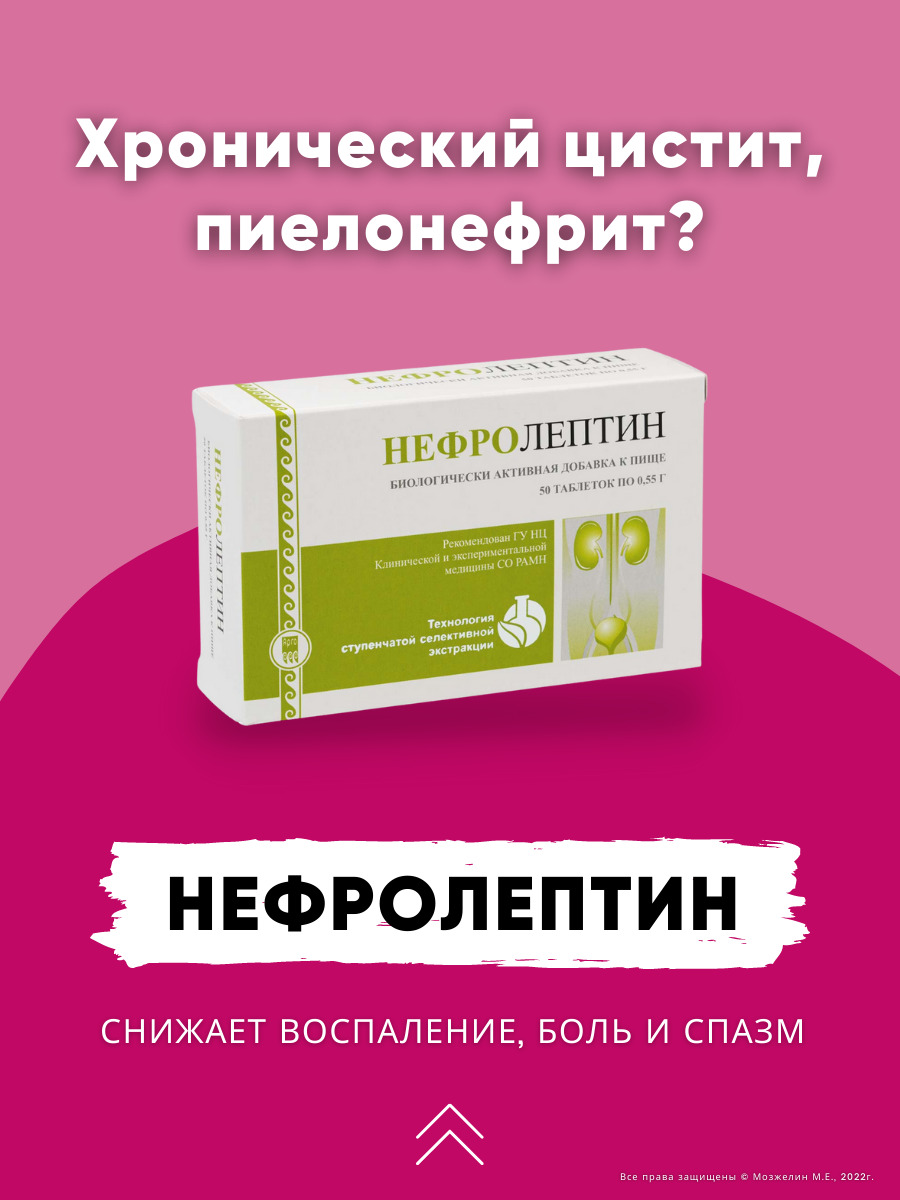 Нефролептин Арго Апифарм для почек мочегонное с прополис, горец птичий,  брусника, толокнянка, солодка, 50 таб - купить с доставкой по выгодным  ценам в интернет-магазине OZON (154813806)