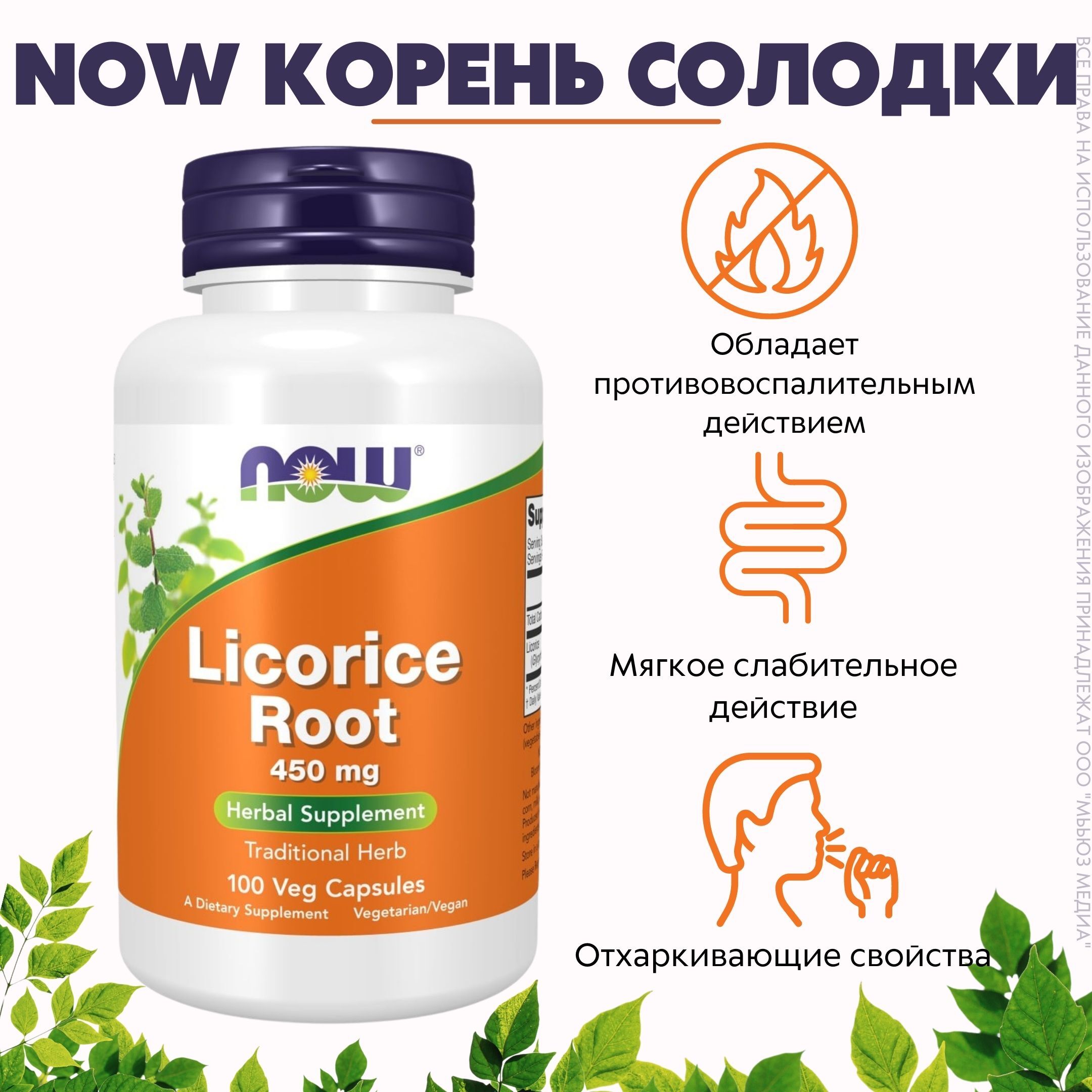 NOW Корень Солодки 550мг 100 капс (LICORICE ROOT 450mg 100 VCAPS) - купить  с доставкой по выгодным ценам в интернет-магазине OZON (235190993)