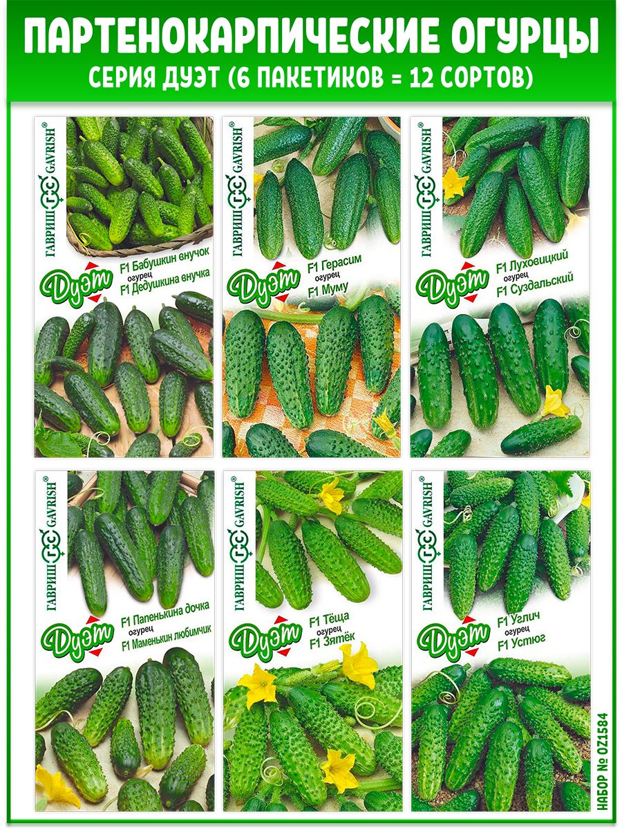 Огурцы название. Огурец Герасим. Сорт огурца Герасим. Огурец сорт дуэт. Огурцы семена пакетики.