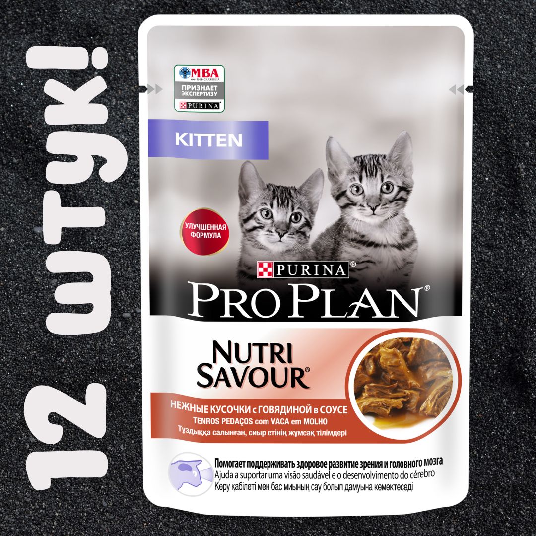 Pro plan kitten