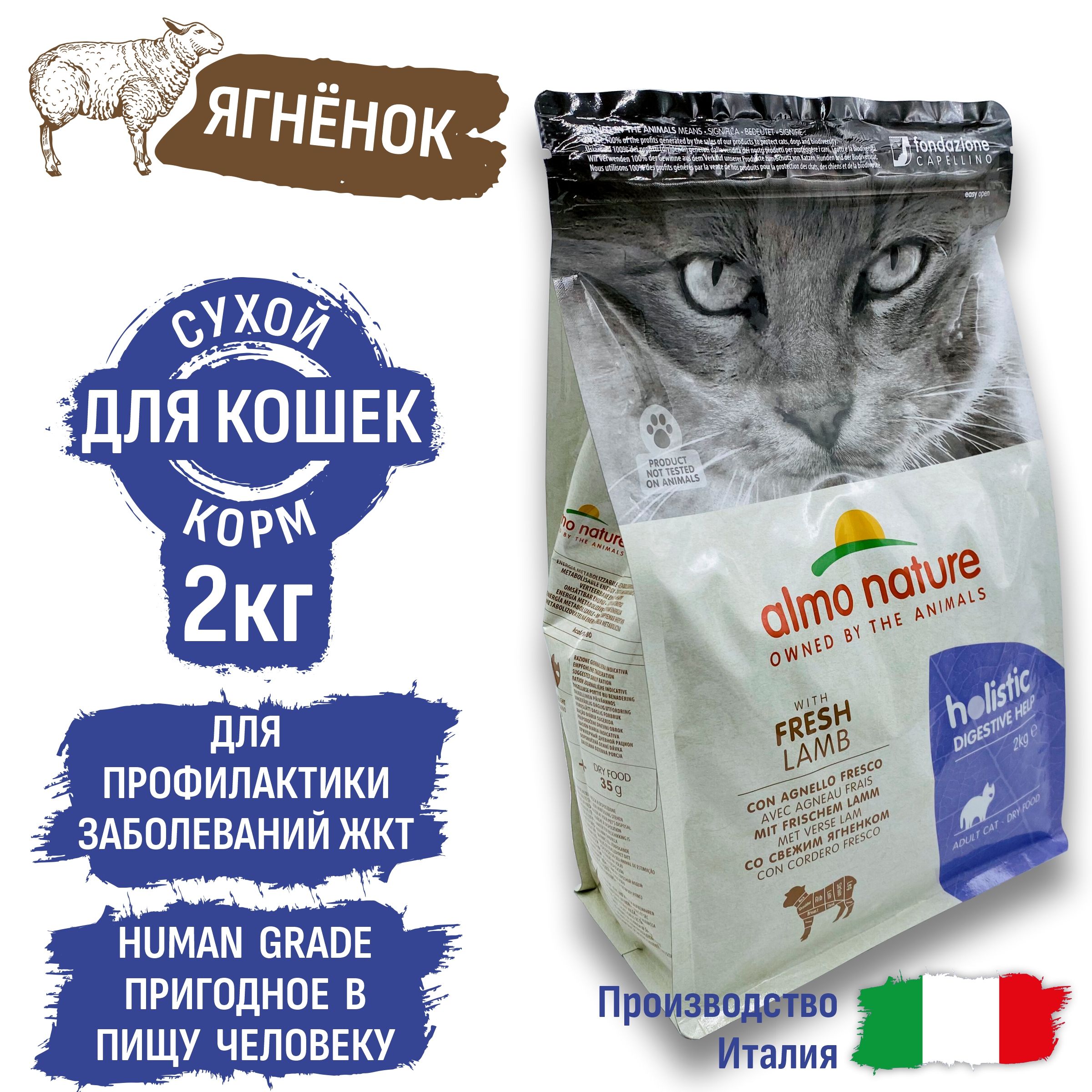 Корм для кошек с жкт. ЖКТ кошки.