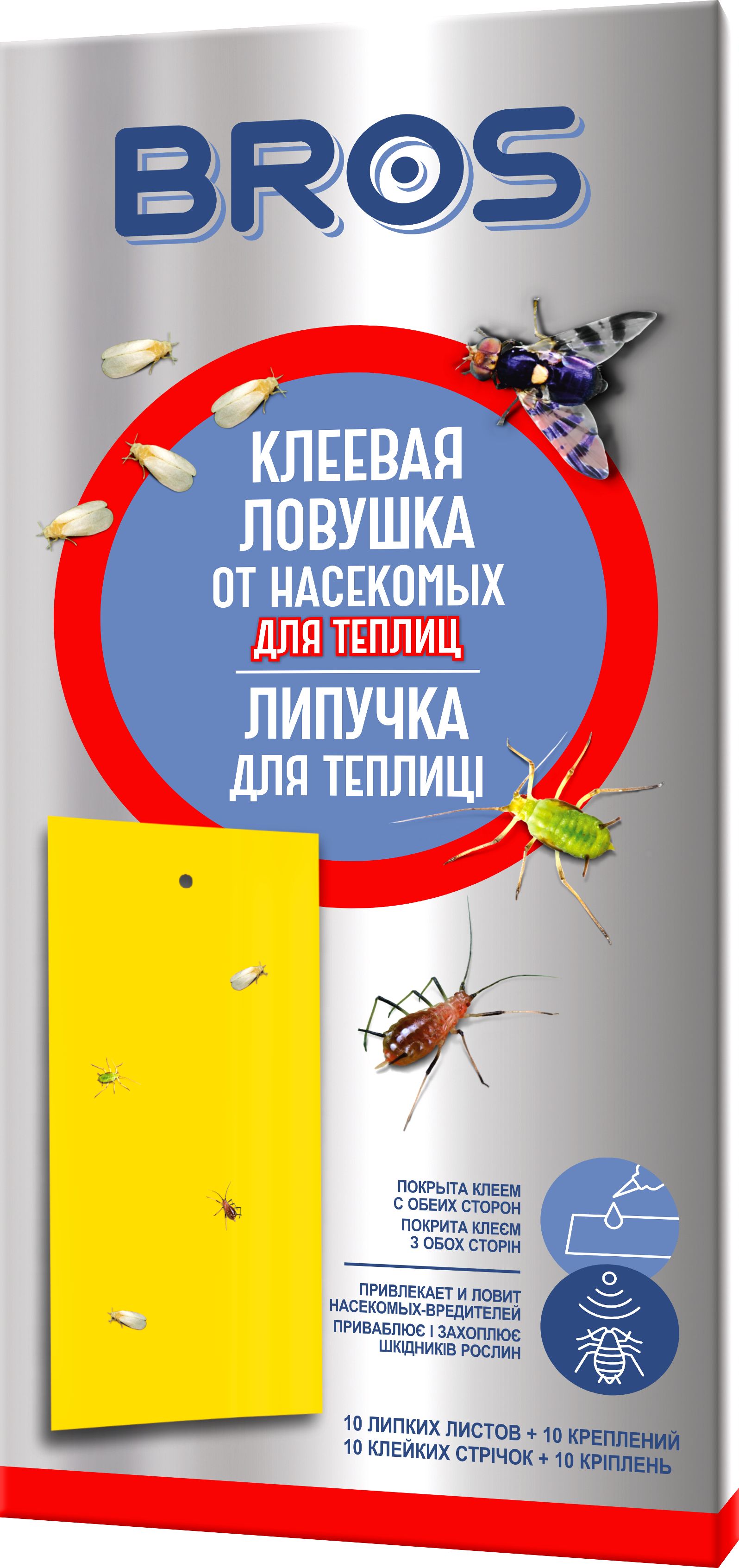 Как сделать своими руками цветок из стикеров фото пошагово