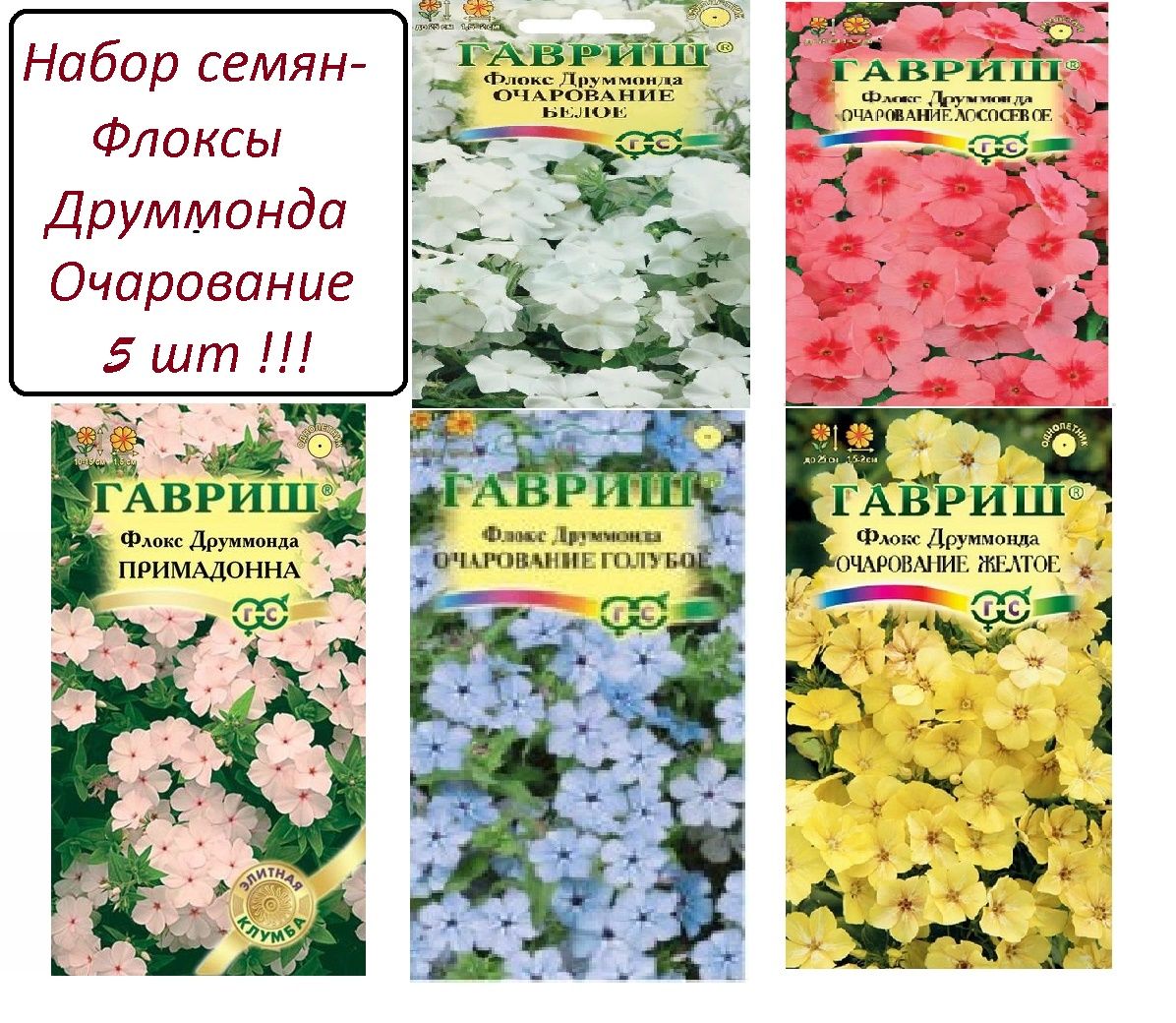 Флоксы Однолетние Купить Семена
