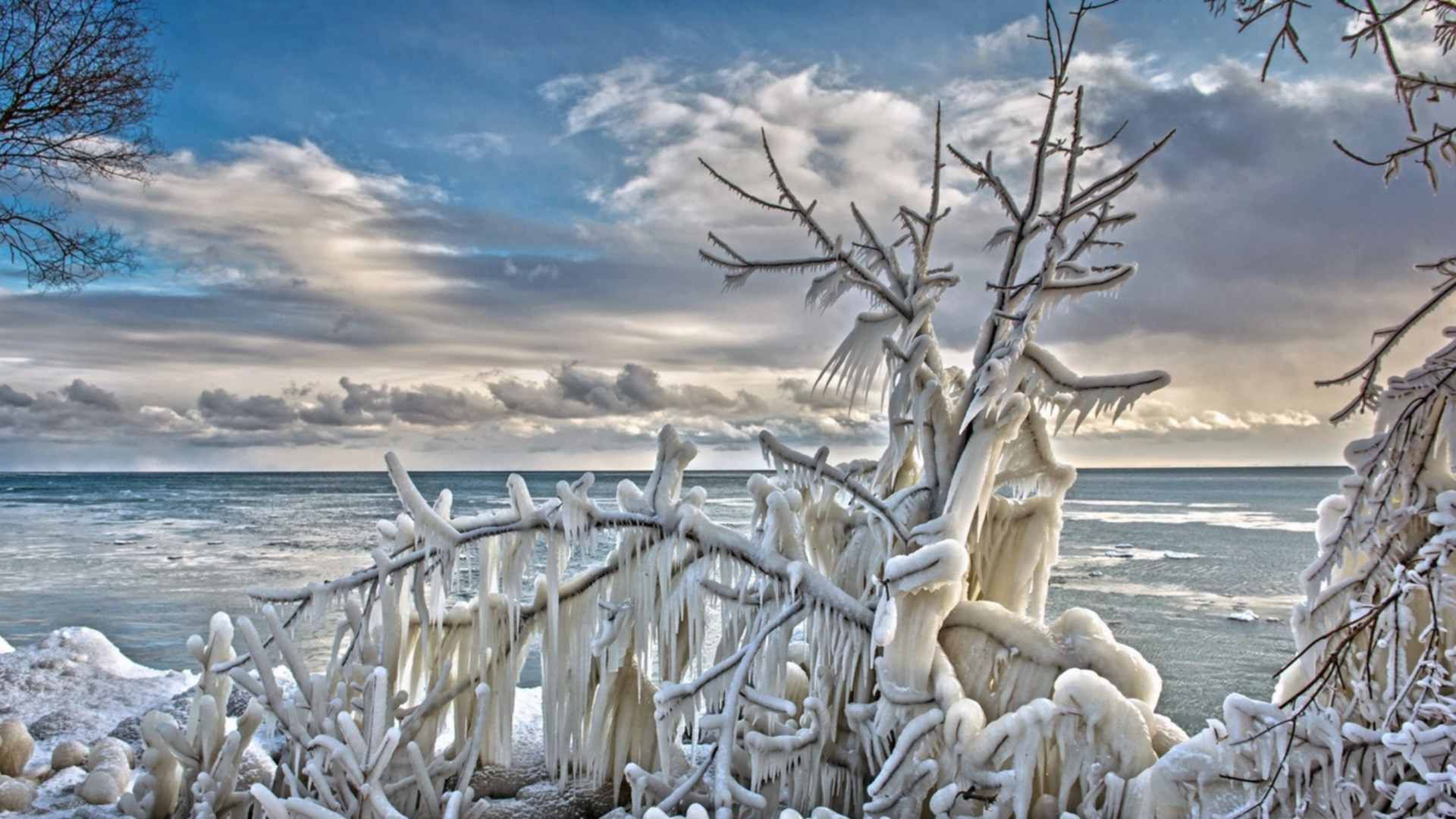 Море зимой. Зимний пейзаж море. Обледенение деревьев. Зима море дерево.