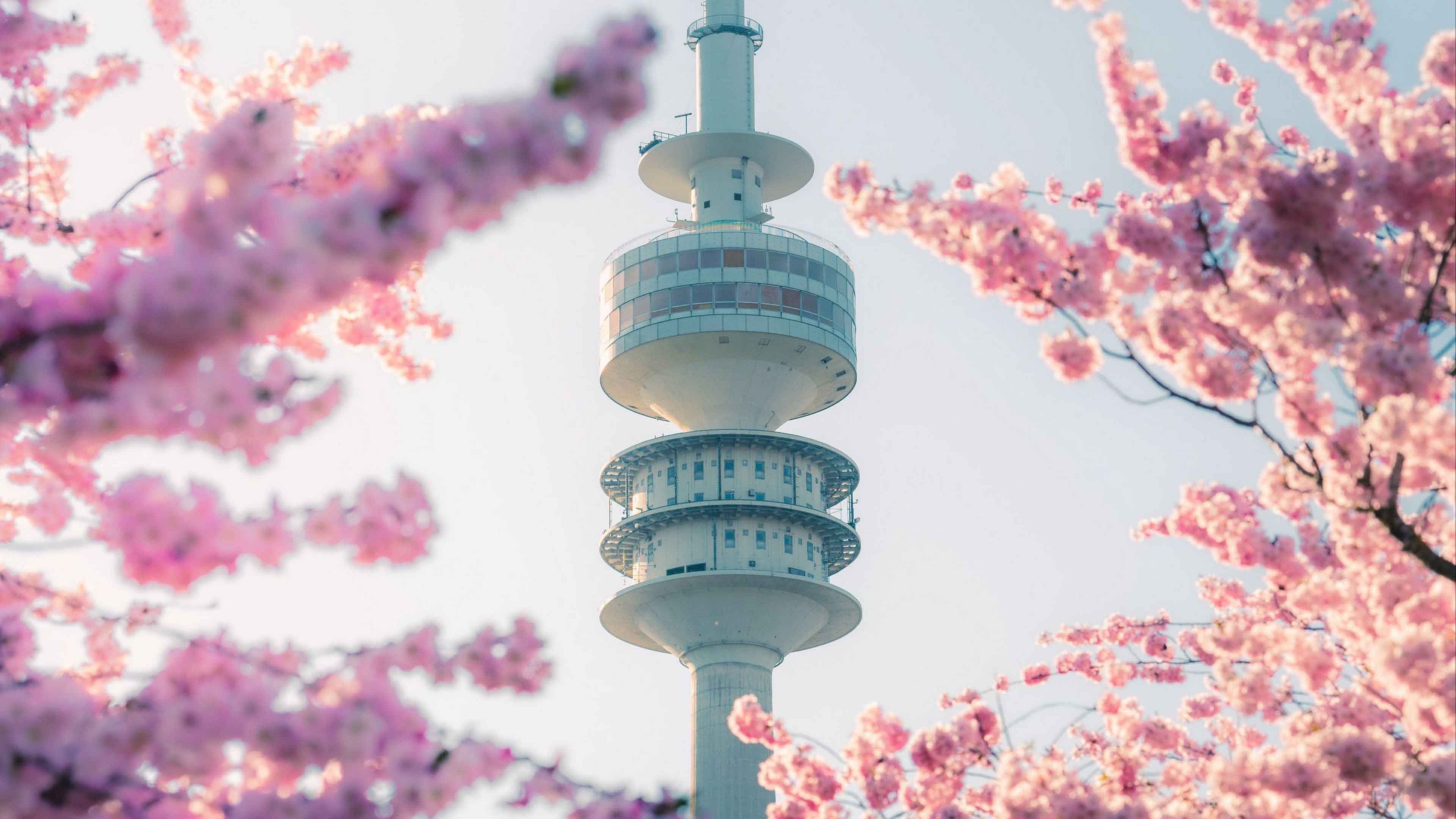 Tokyo Sky Tree Япония Сакура