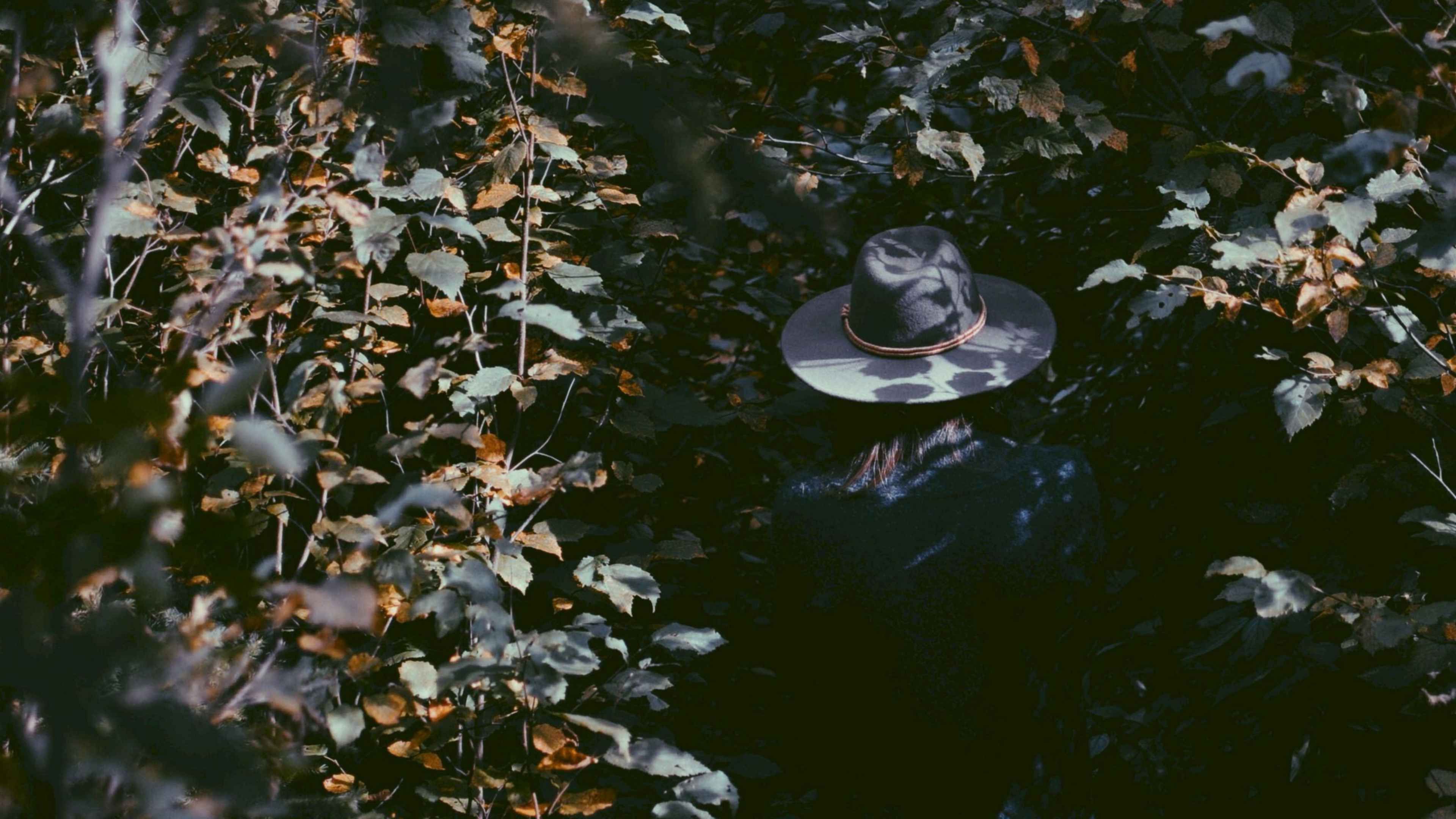Шляпа тень. Шляпа с листьями. Тень от листвы. Тень человека в шляпе. Фон с тенью от листьев.