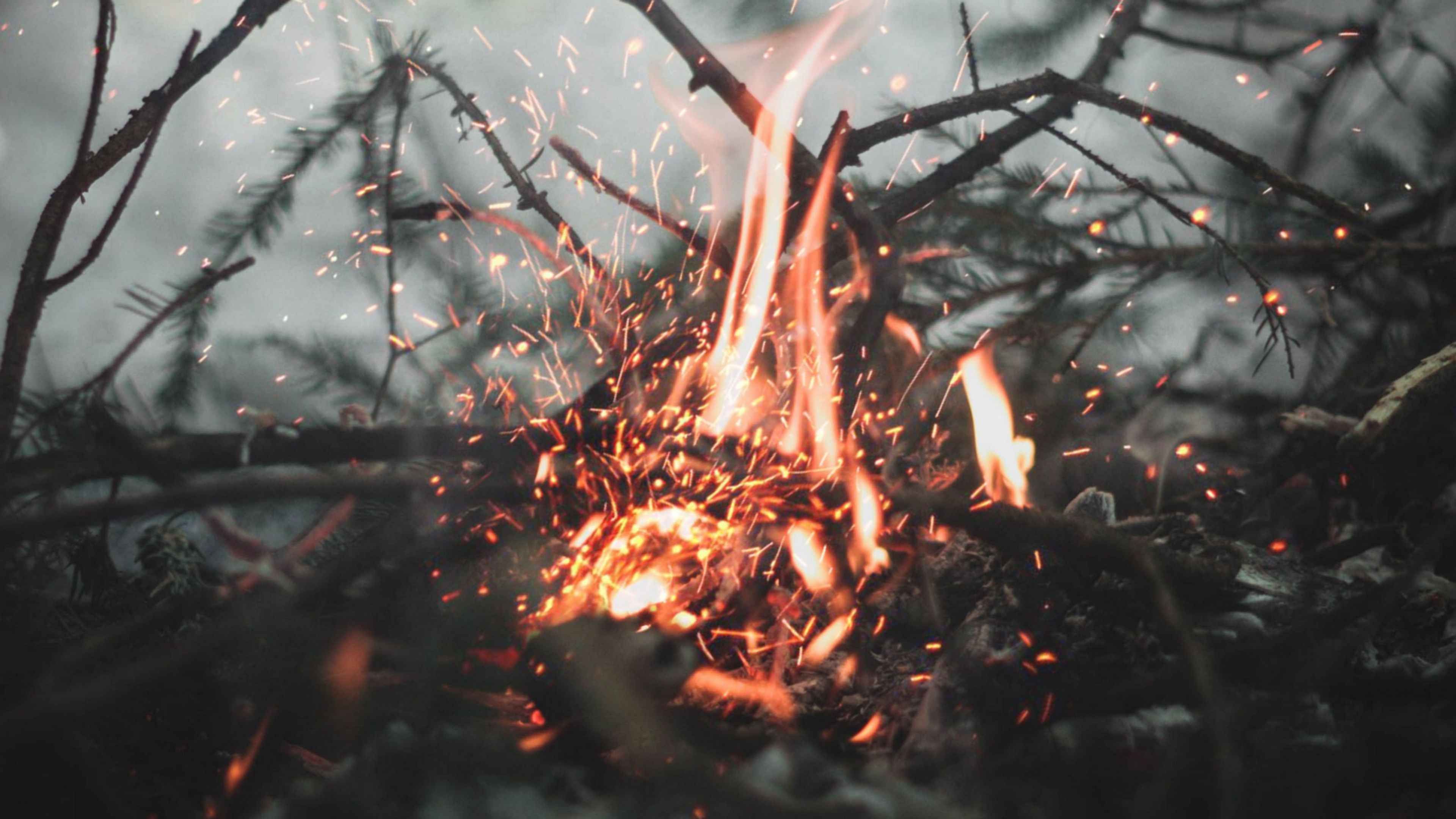 Искры костра. Потухший огонь. Магия горит. Огонь в лесу Эстетика.