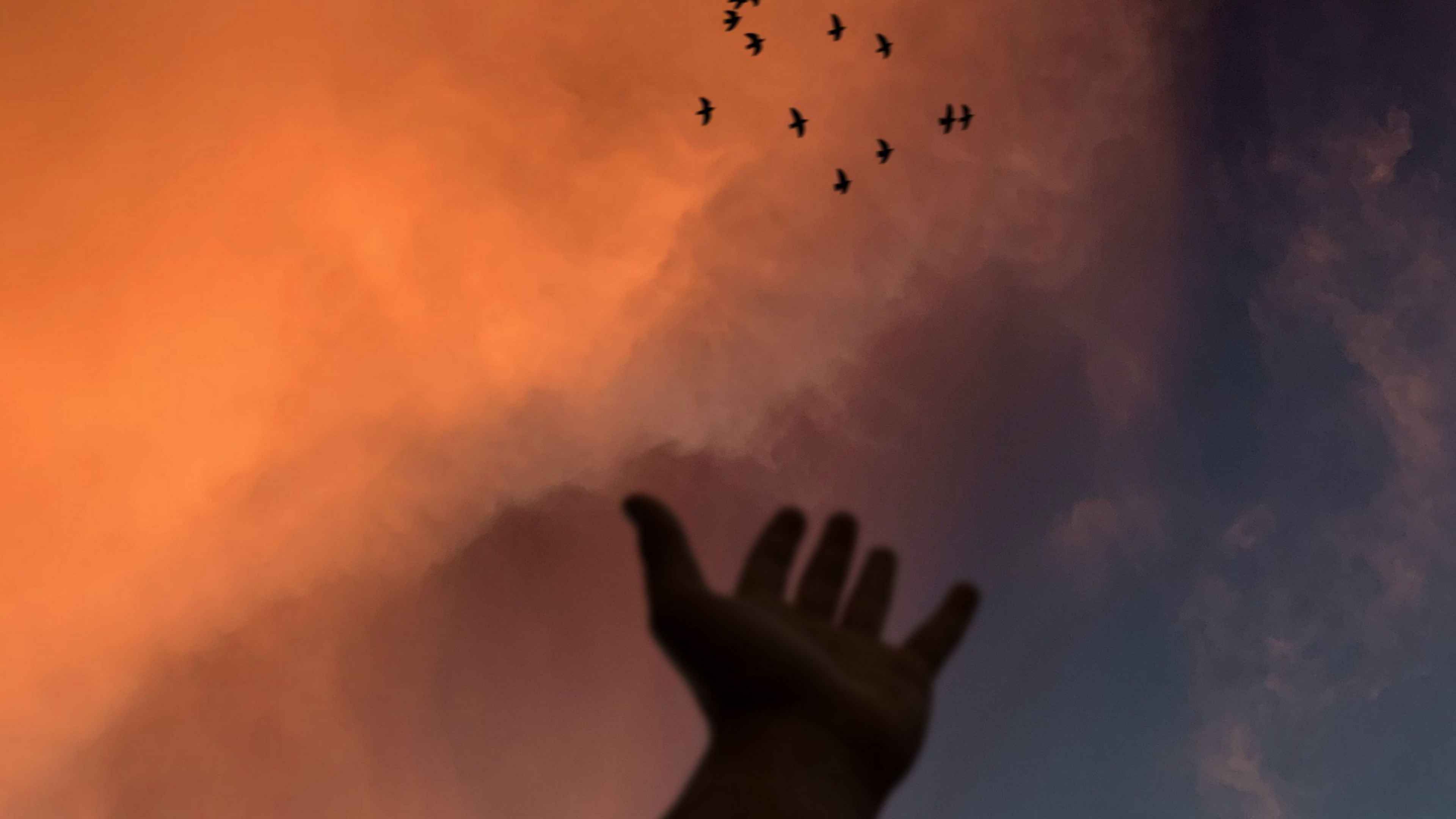 Sky hand. Руки к небу. Эстетика небо рука. Рука тянется к небу. До неба рукой.