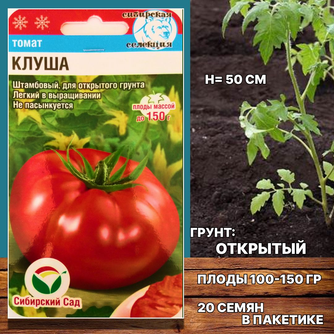 томаты клуша описание фото отзывы