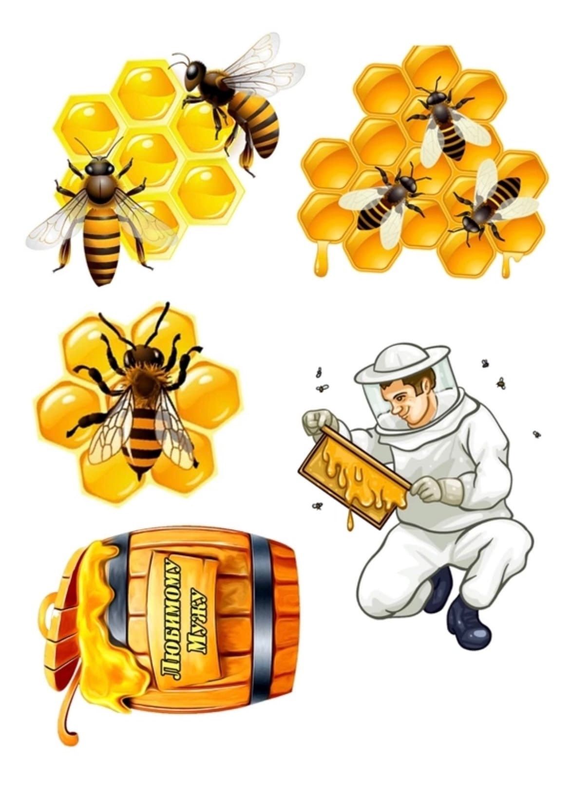 Сахарная печать пчеловод