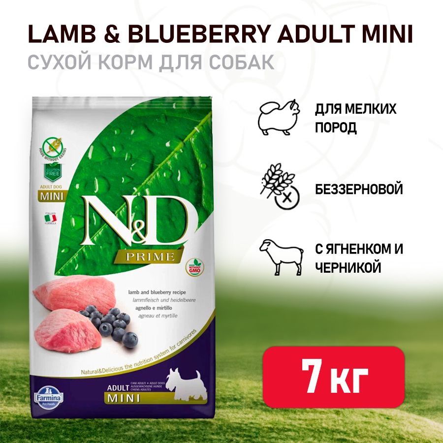 Farmina N&D Prime Dog Lamb & Blueberry Adult Mini сухой беззерновой корм  для взрослых собак мелких пород с ягненком и черникой - 7 кг - купить с  доставкой по выгодным ценам в интернет-магазине OZON (350532979)