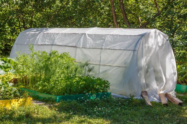 Парники для дачи своими руками с пленкой