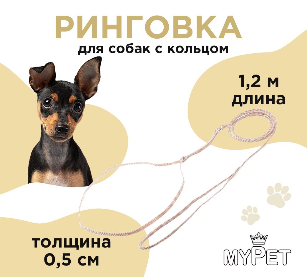 myPet Ринговка для собак с кольцом бежевая для выставок и дрессировки / ЭКО поводок / Ошейник шлейка