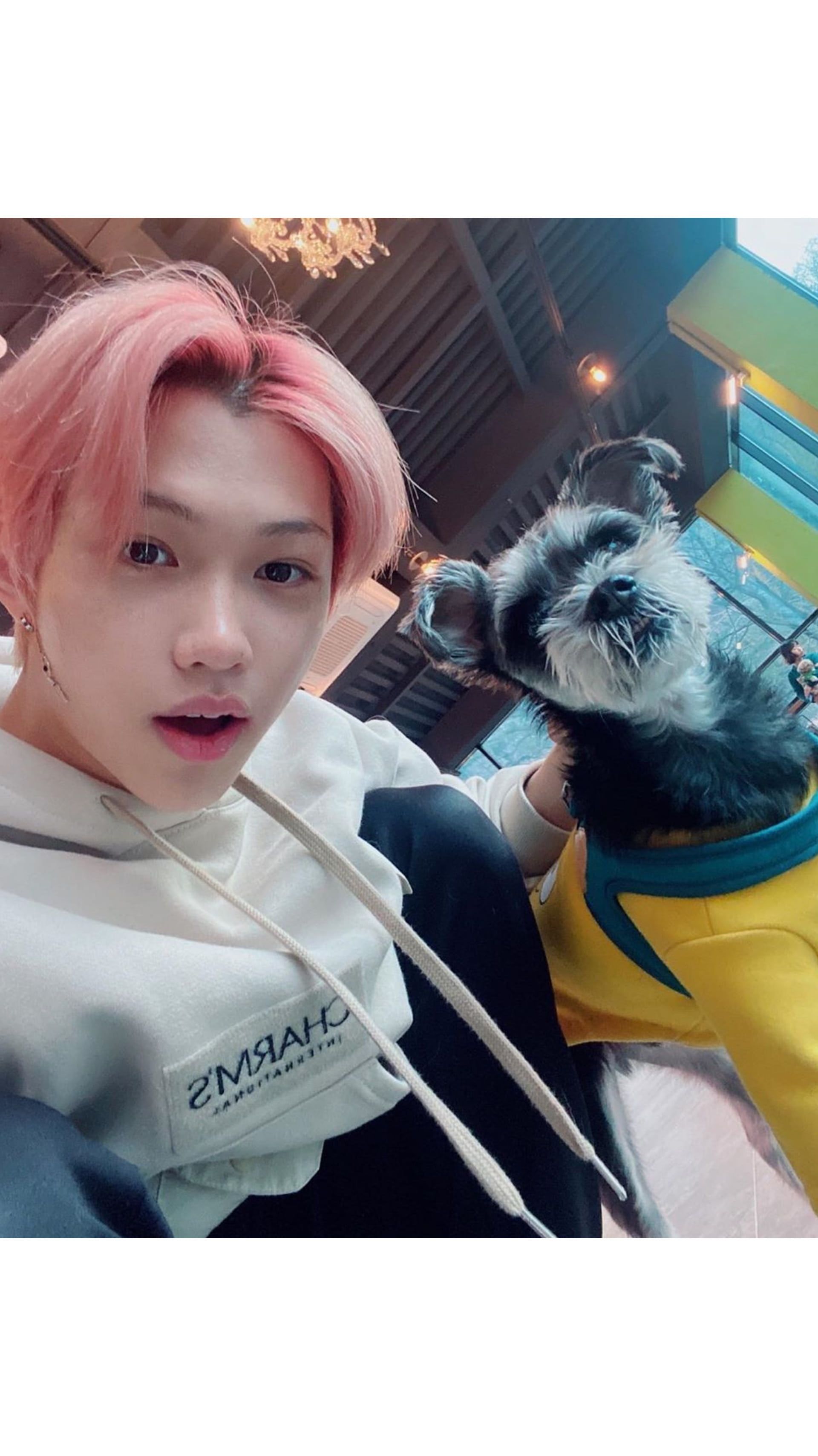 Фотки феликса из stray kids. Феликс Stray Kids 2020. Lee Felix 2020. Феликс Stray Kids без макияжа 2020. Феликс стрэй кэтс.