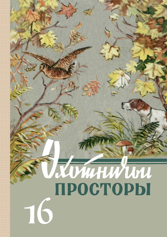 Охотничьи просторы. Книга 16 (репринтное издание)