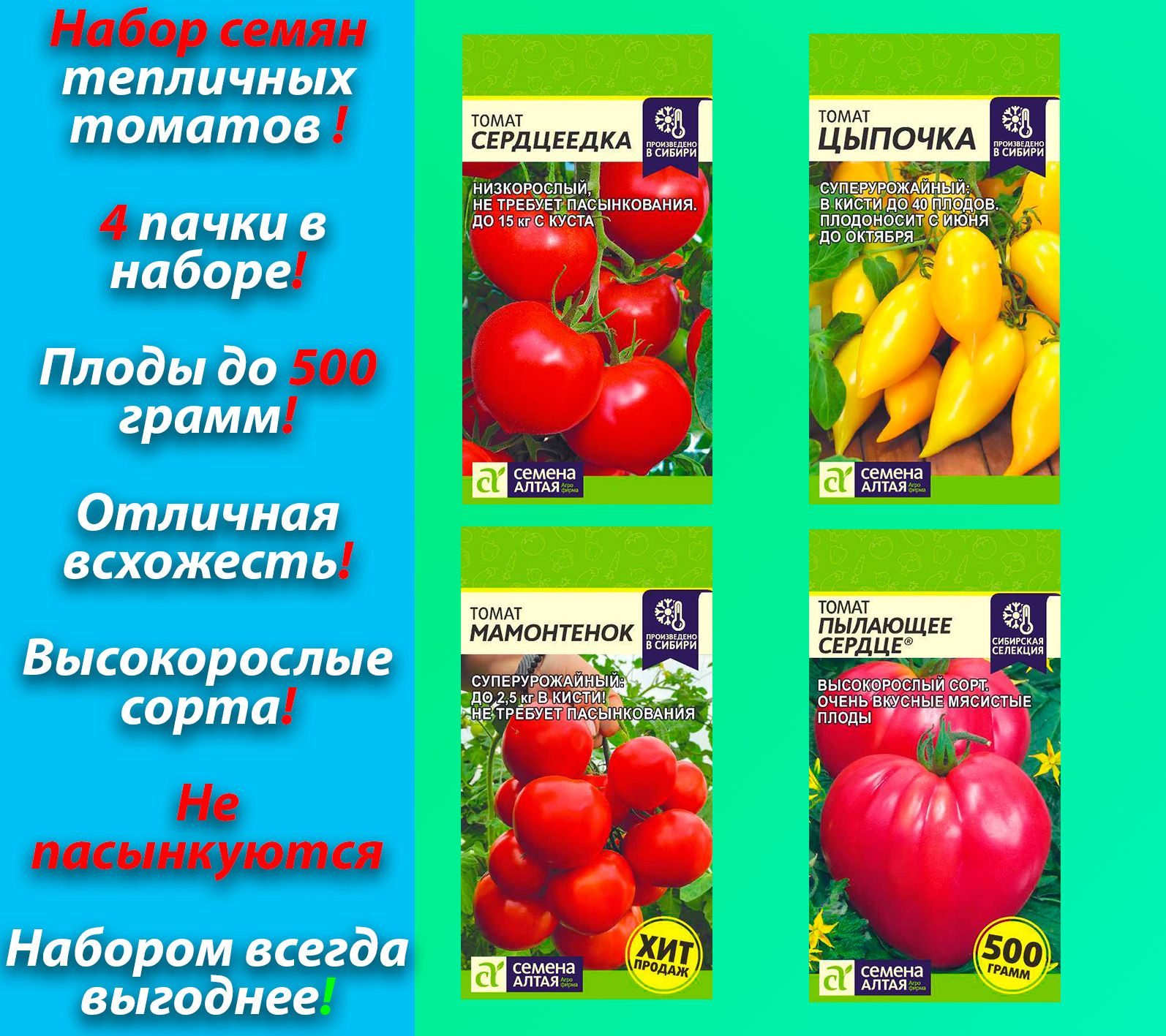 Томат новинка отзывы. Томат цыпочка семена Алтая. Томат цыпочка от семена Алтая. Томат цыпочка отзывы.