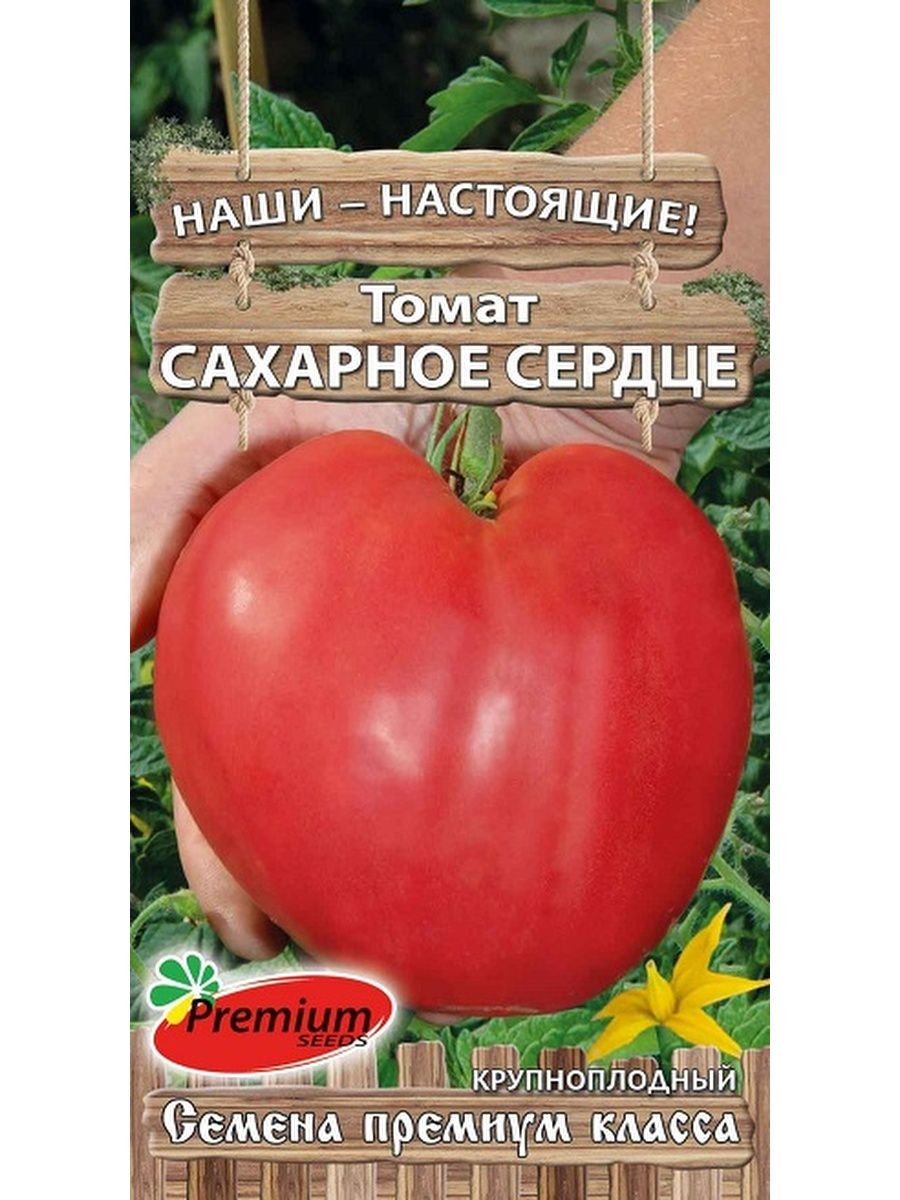 томат крымское сердце. томаты перчик малиновый в полоску мязина. помидоры родное сердце. томат крымское сердце. крымские сорта томатов.