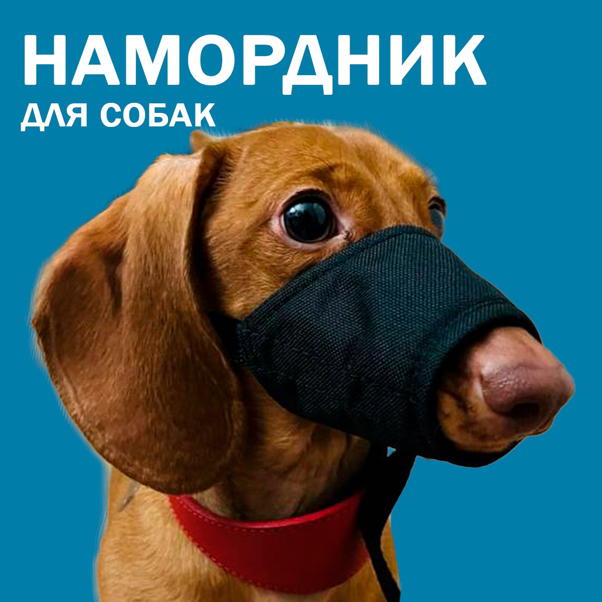 НамордникдлясобакнейлоновыйS