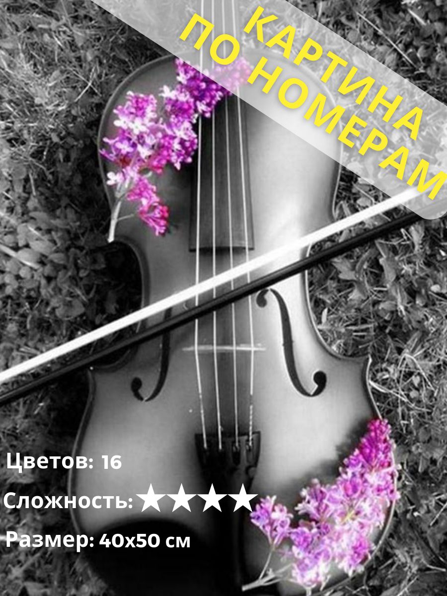 Скрипка номер 1