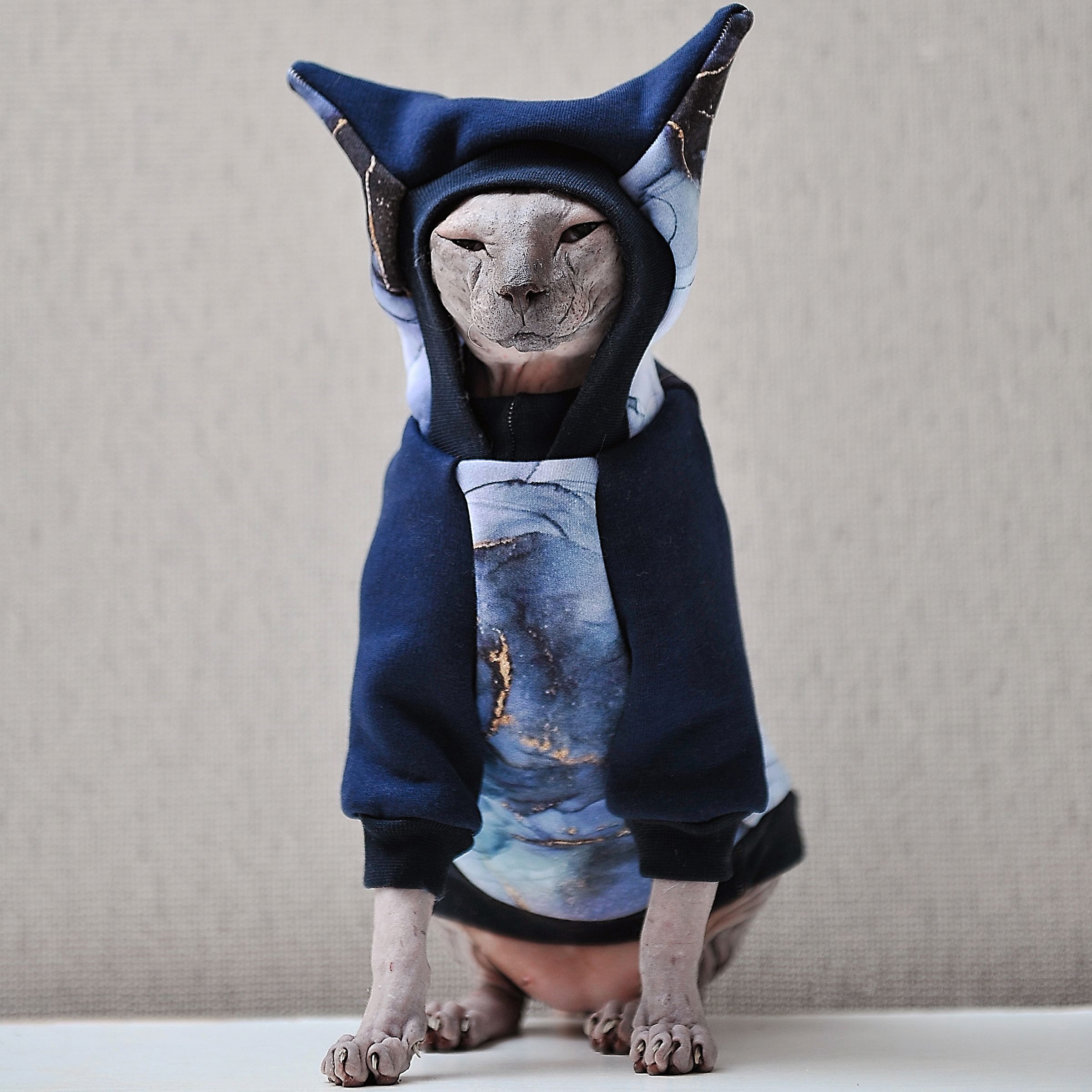Как связать свитер регланом для кота 2часть | Свитер для собак, Кошачья одежда, Одежда для кошек