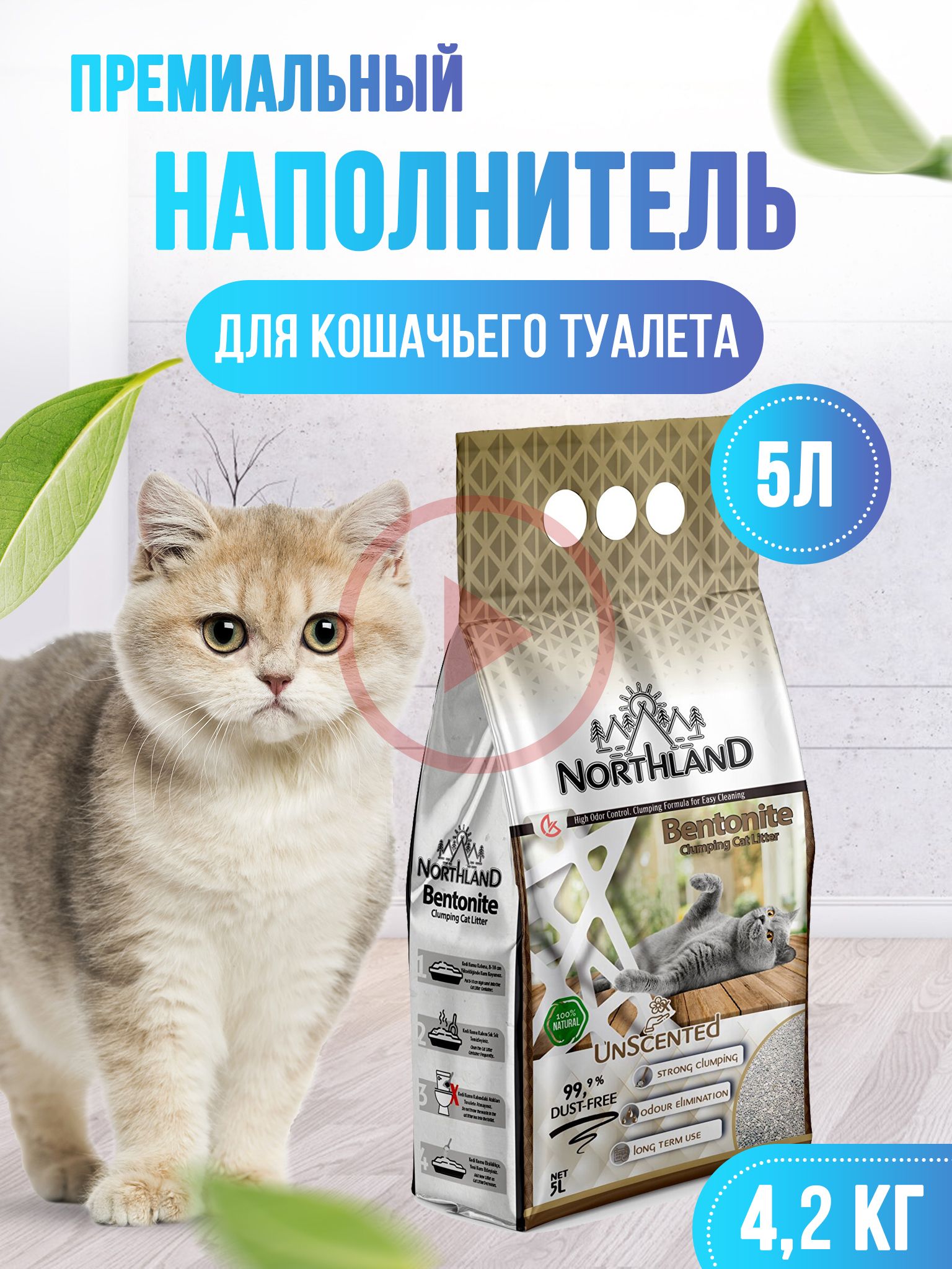 Кошка ест наполнитель для туалета из глины