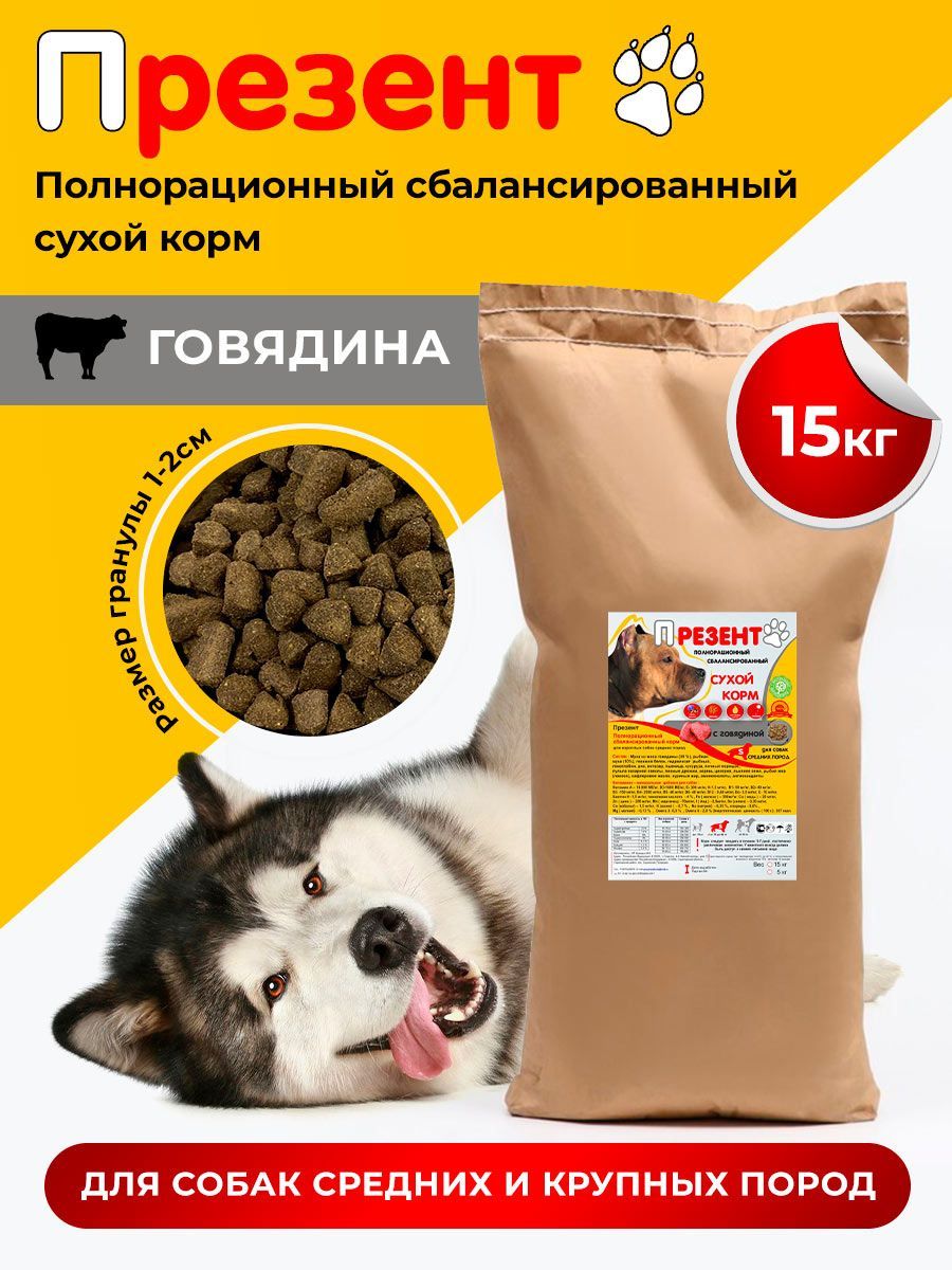 корм для собак презент. корм для собак презент. корм для собак презент. корм для собак презент. корм для собак презент.