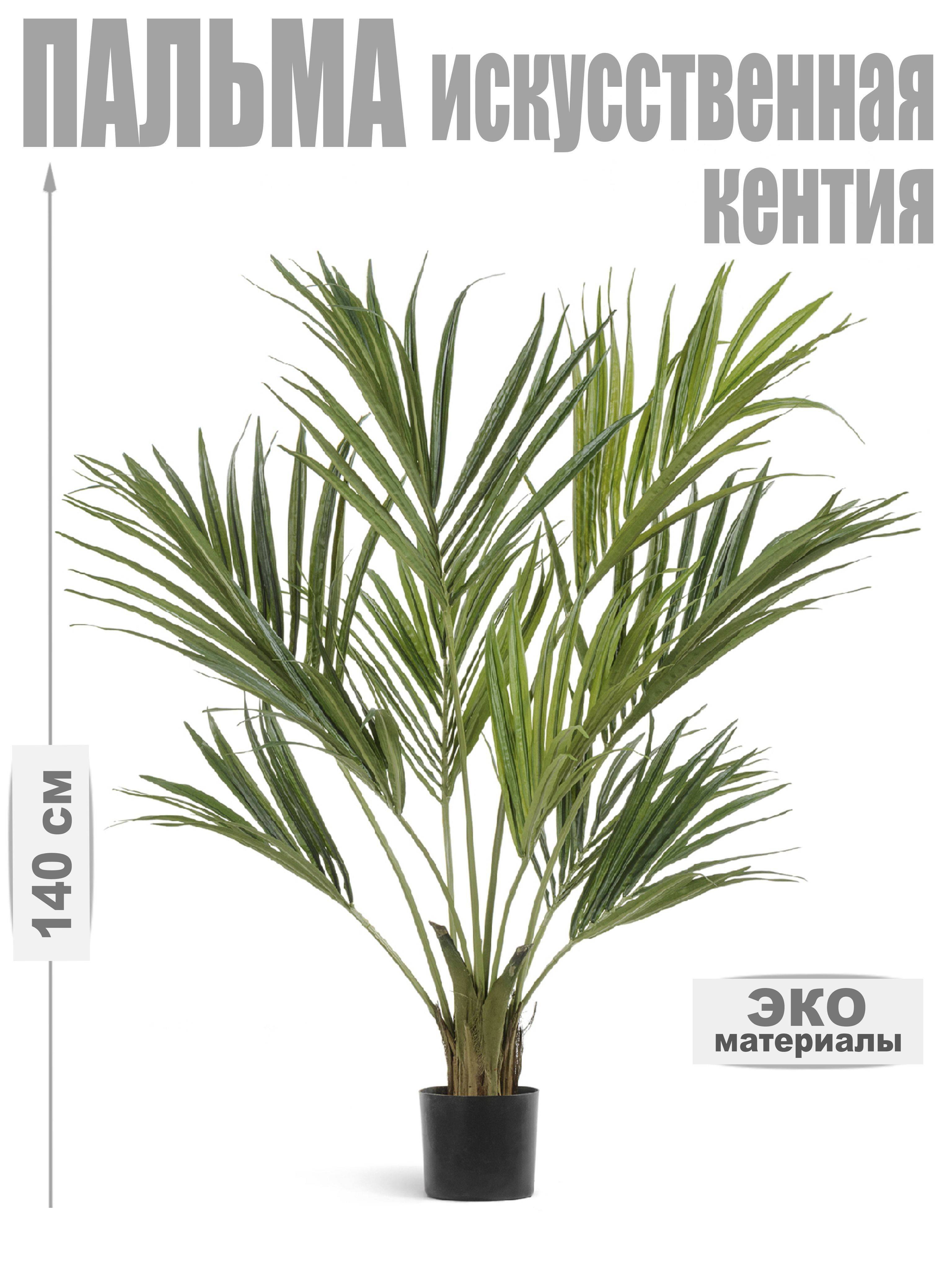 Пальма арека в интерьере