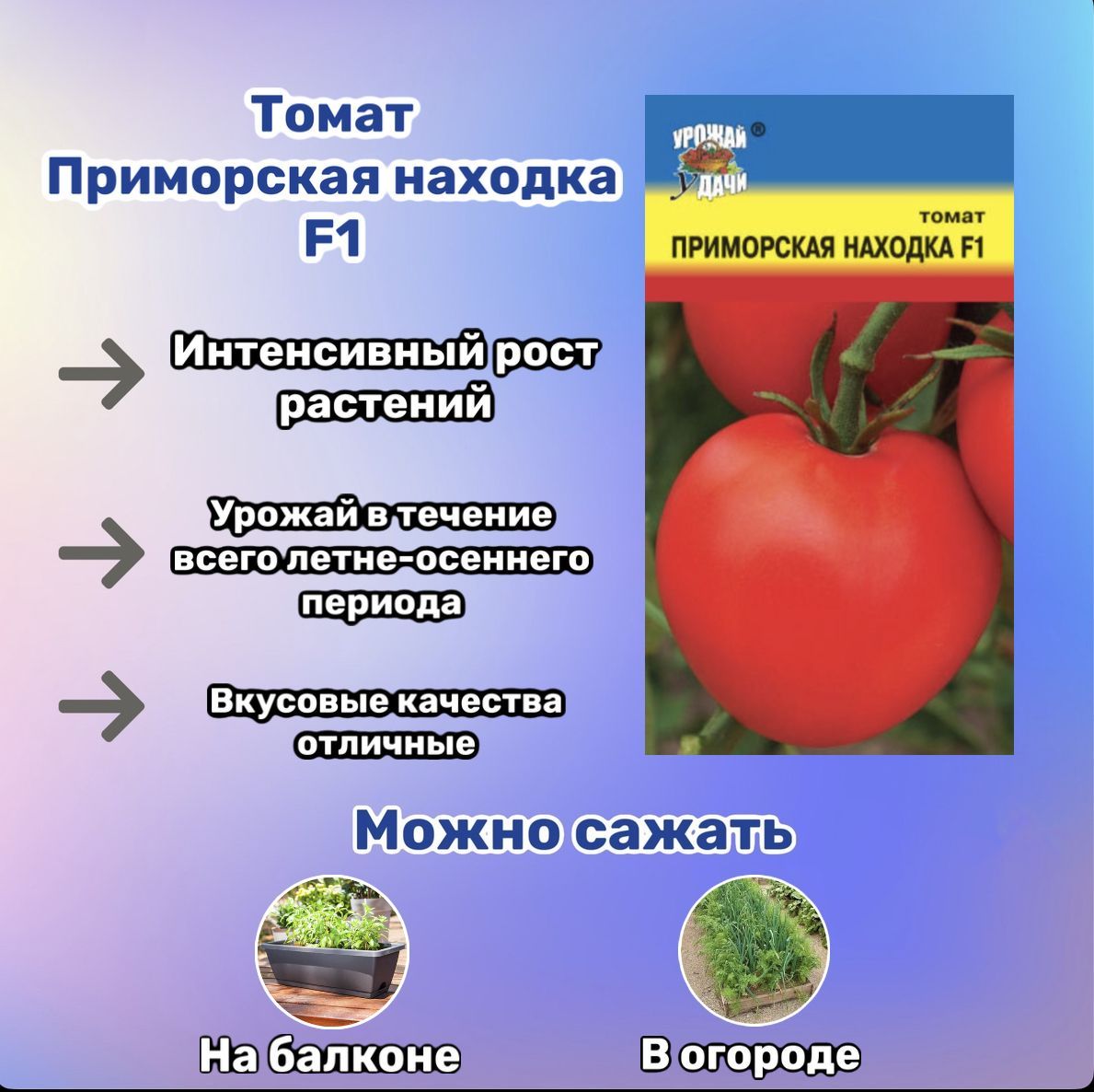 Помидоры яблонька россии описание сорта. Томат Приморский.