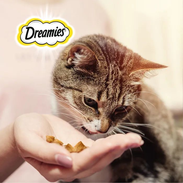 Лакомство для кошек Dreamies подушечки с курицей 12 шт по 140 г(图1)