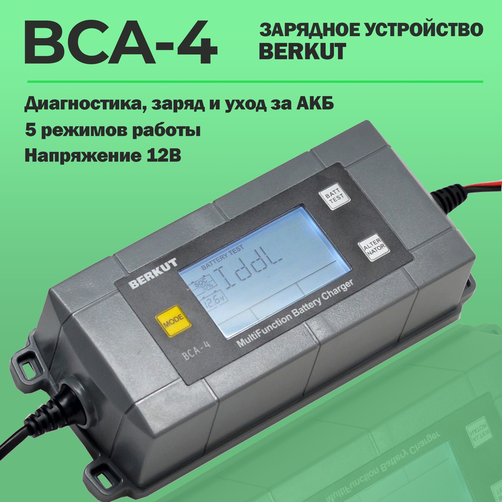 Berkut bca 10