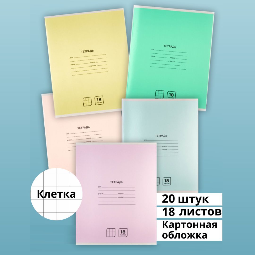 Тетрадь в клетку 18 листов 20 штук А5 набор школьная однотонная с полями в  клеточку, обложка картон, комплект из 5 видов, AXLER - купить с доставкой  по выгодным ценам в интернет-магазине OZON (945036497)