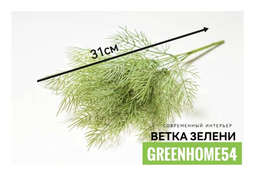 Водоросли Веточки И Листики На Озере Фото