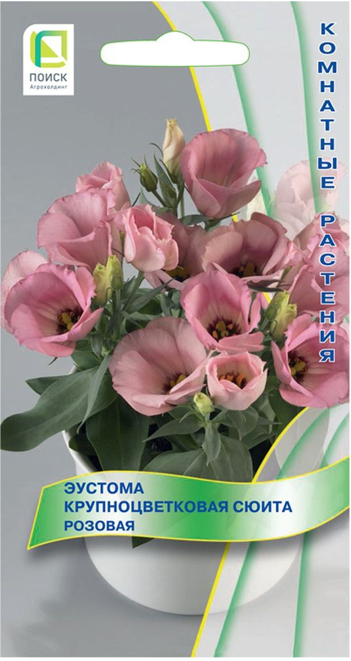 Эустома сюита белая. Эустома сюита. Эустома крупноцветковая комнатная. Эустома сюита. Эустома крупноцветковая сюита.