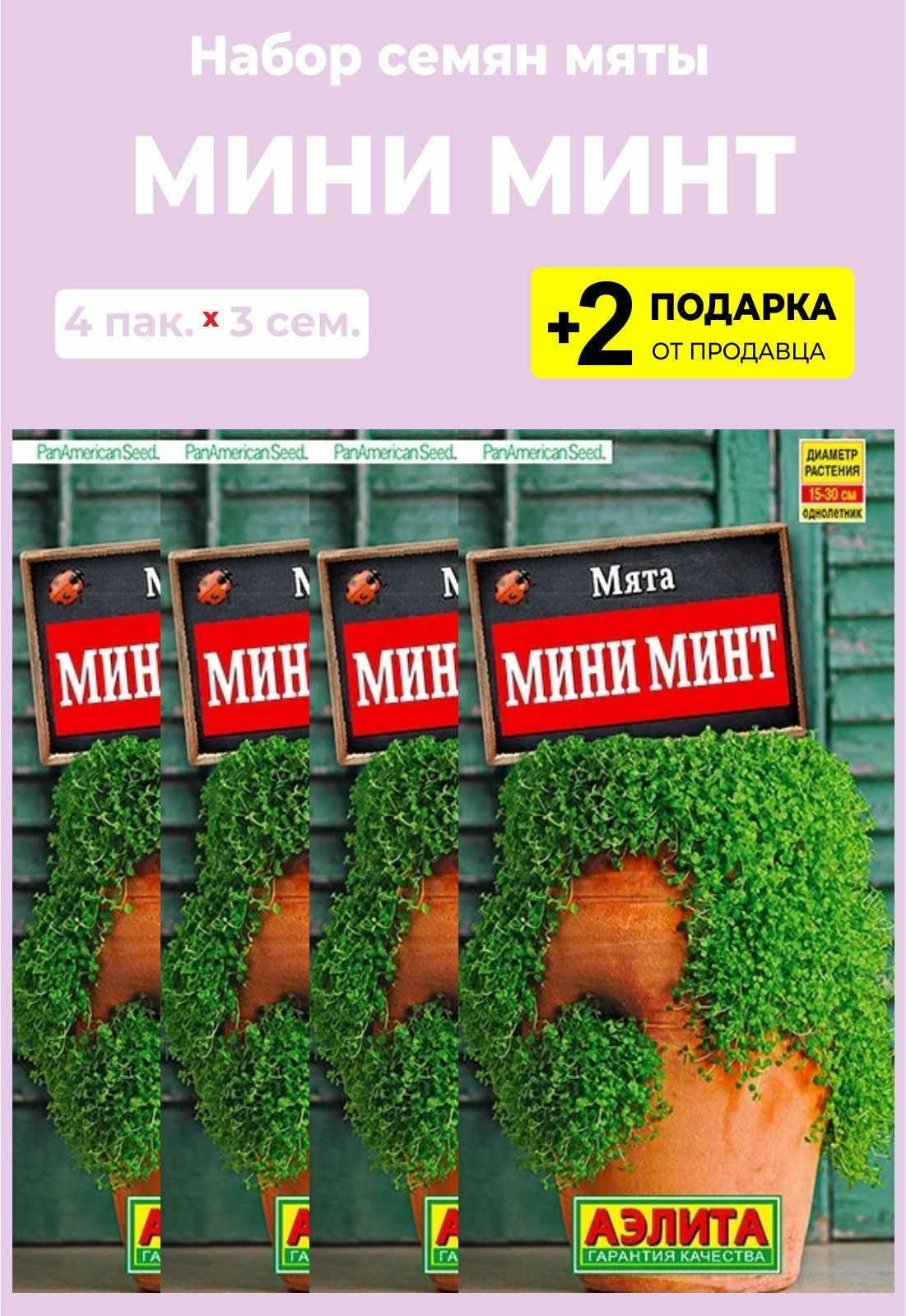 Тайлед минт. Мята Корсиканская мини минт. Мята почвопокровная Mini Mint. Мята Кубанская 6. Мята Корсиканская мини минт отзывы фото и описание.