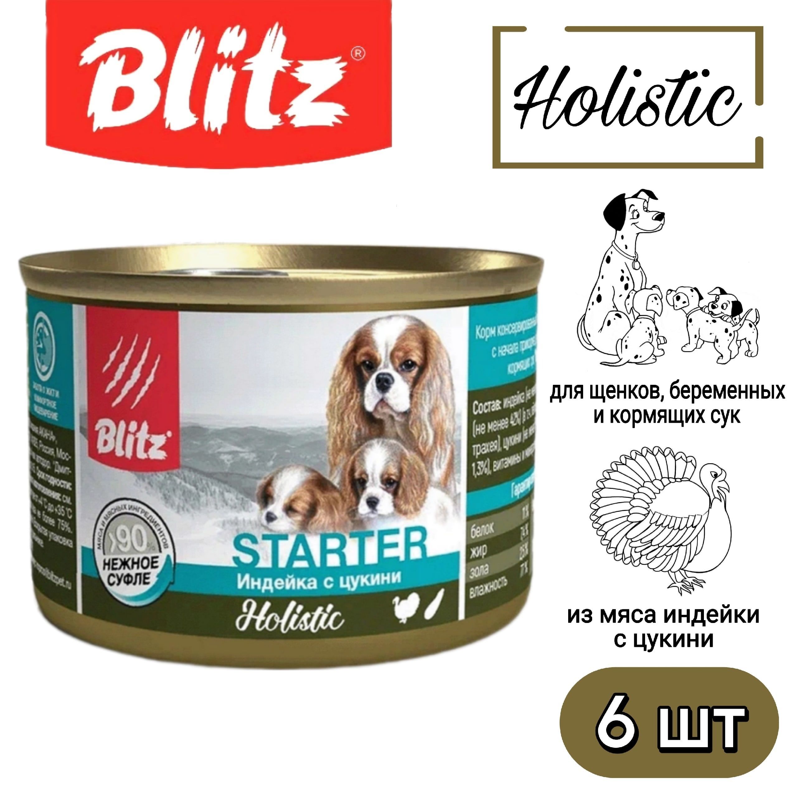 BlitzStarter