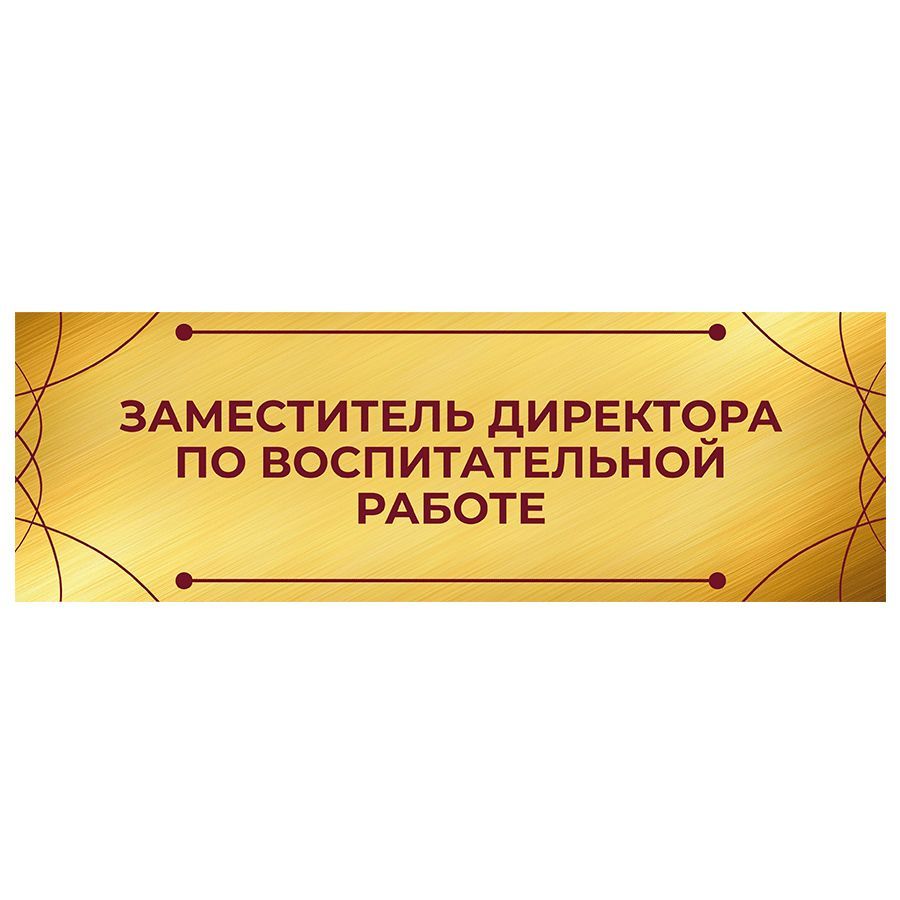 Табличка, на дверь, Заместитель директора по воспитательной работе, для  школы, 30см х 10см, 30 см, 10 см - купить в интернет-магазине OZON по  выгодной цене (1095156051)