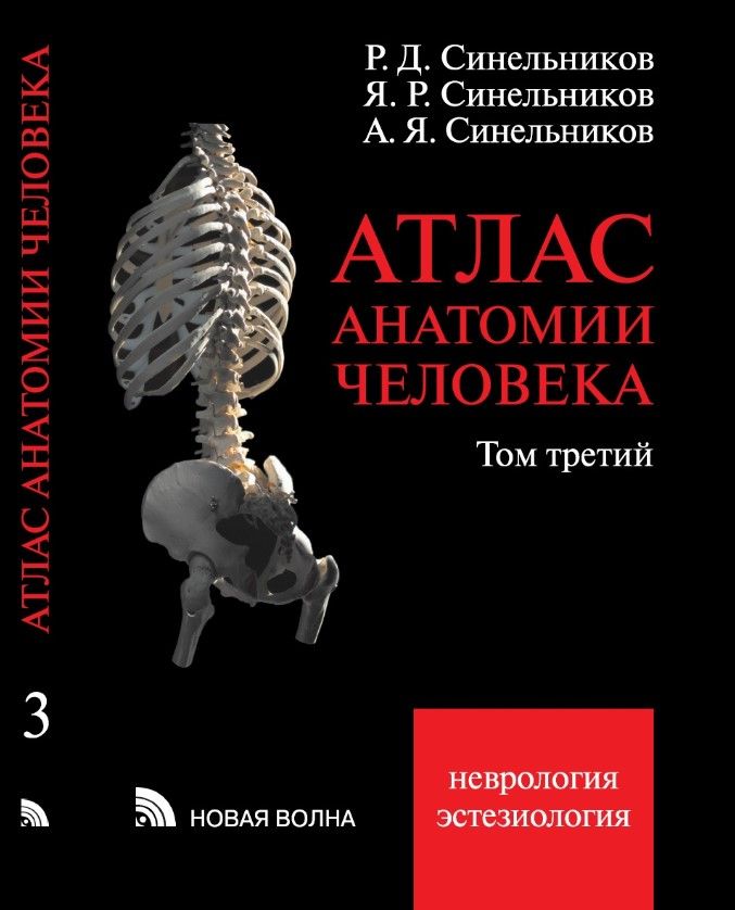 Учебник синельникова по анатомии. Синельников атлас анатомии человека 3 том. Атлас анатомии Синельников. Синельников атлас 1996. Атлас по анатомии Синельников.