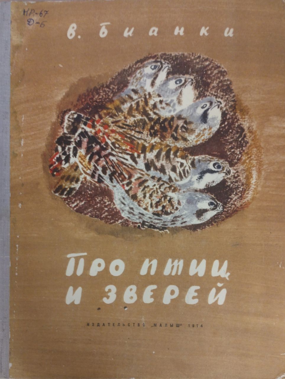 Бианки о птицах. Бианки про птиц и зверей. чарушин звери и птицы. книги бианки про животных и птиц. иллюстрации. бианки про птиц.