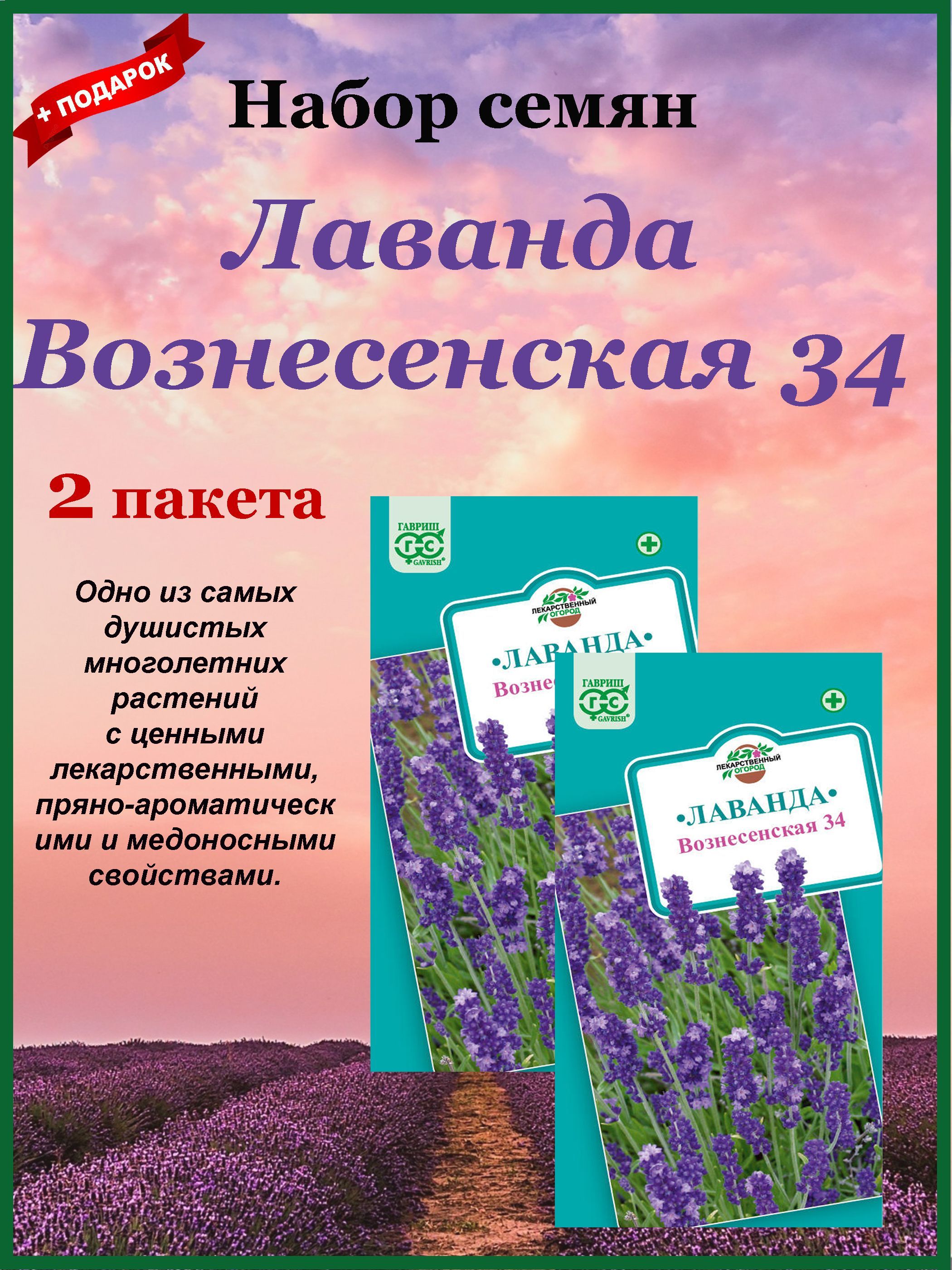 Семена Лаванда Набор №2 (Гавриш) 2шт. Вознесенская 34 2 пакета