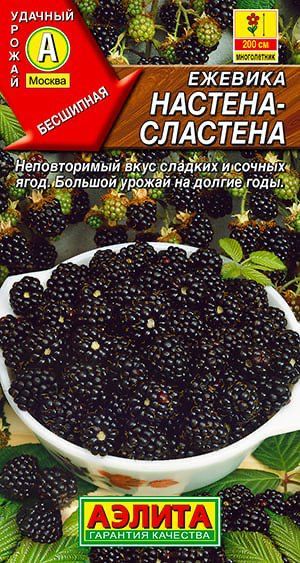 Семена Ежевика Настена-сластена