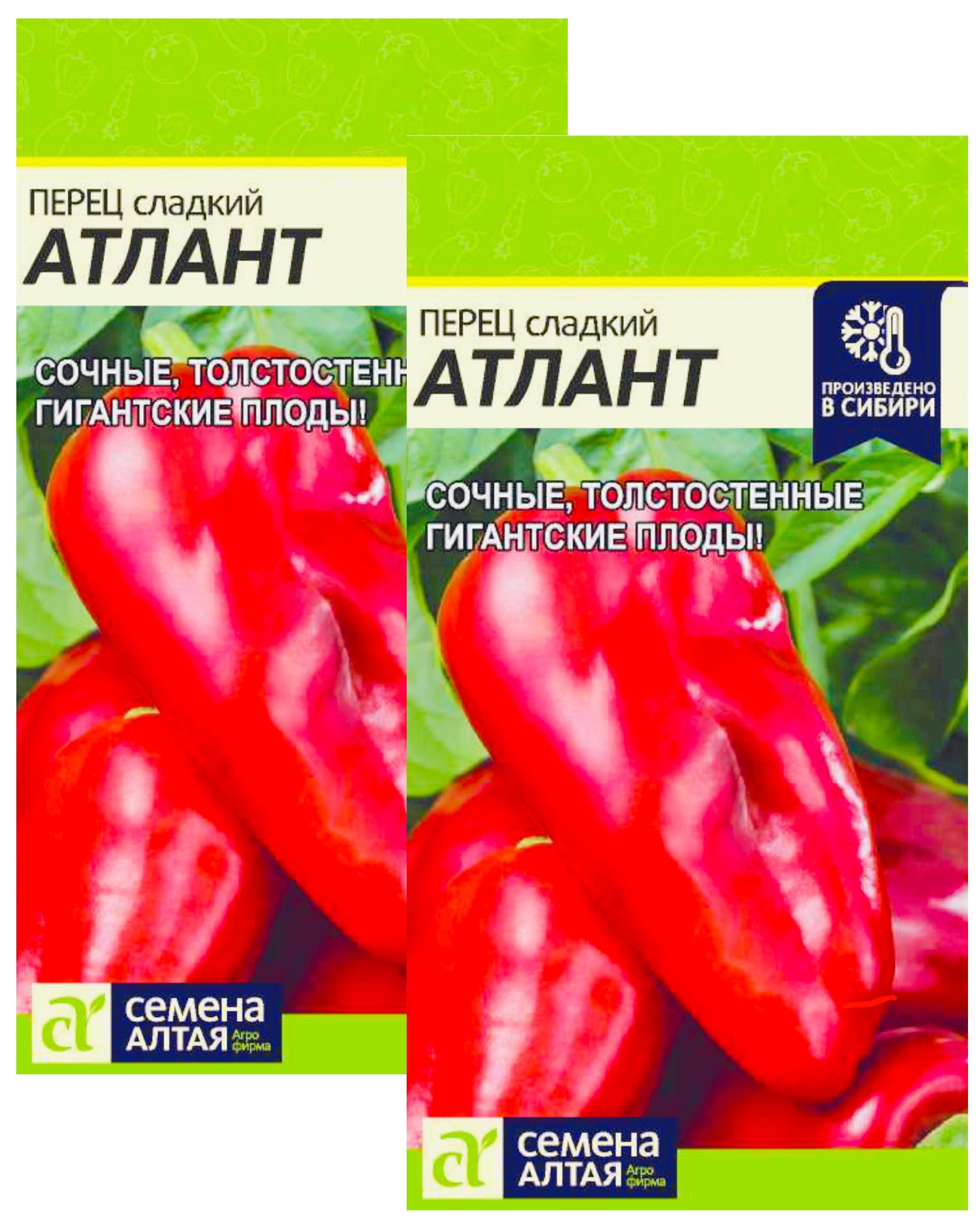 Перец алтайский купить