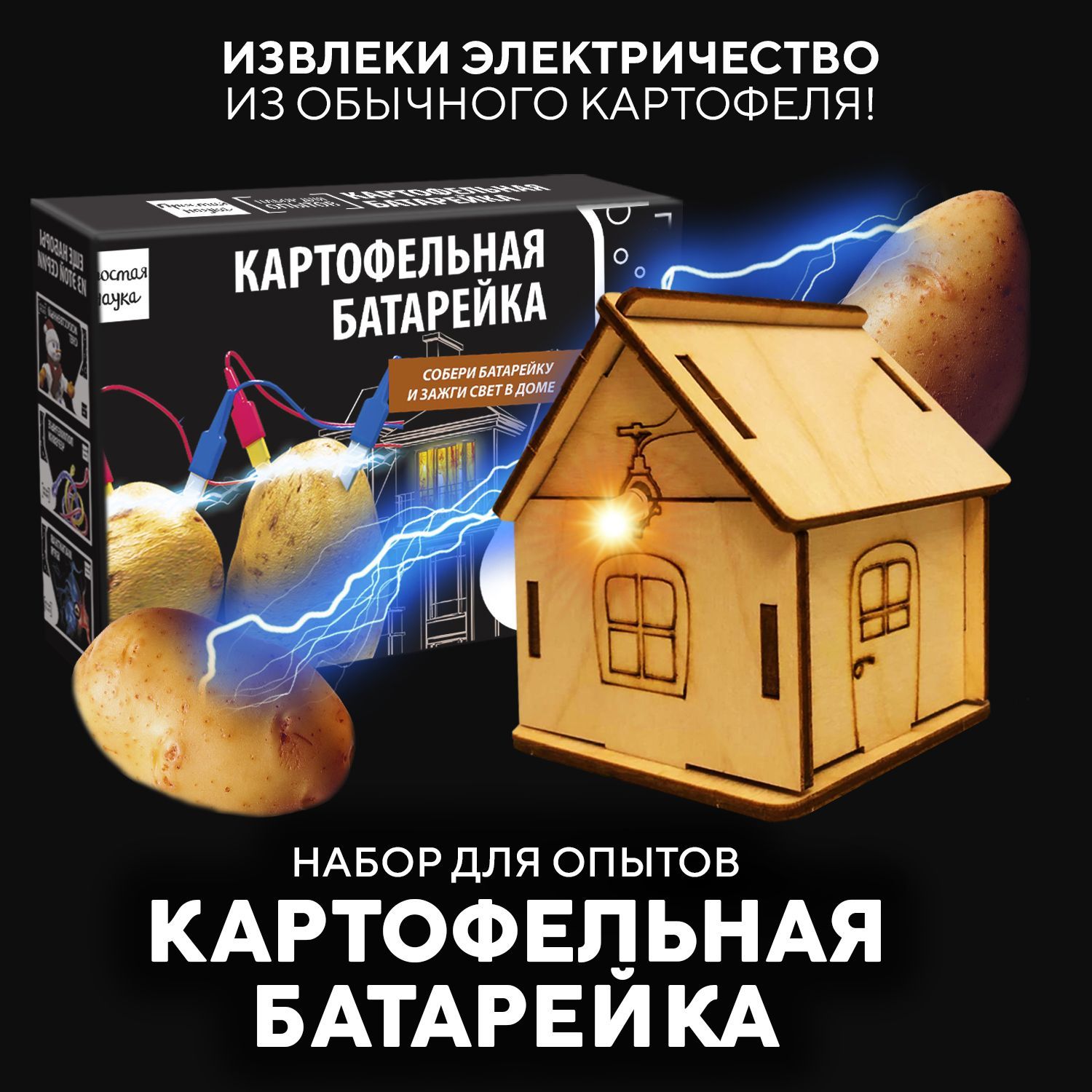 Картофельная батарейка набор для опытов для детей Простая наука BBOX/  Развивающий подарок химические опыты для мальчика и девочки 6 7 8 9 10 11  12 лет