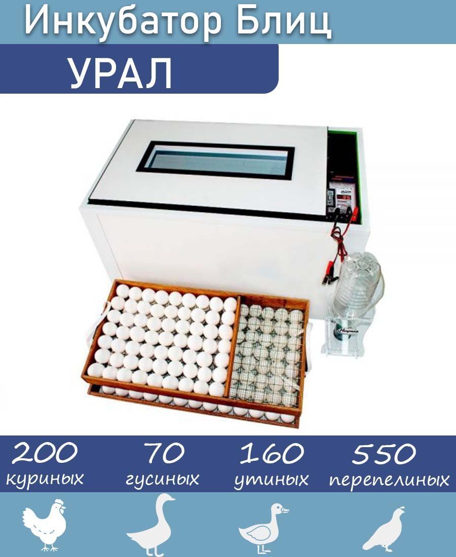 Инкубатор для яиц автоматический с терморегулятором Урал