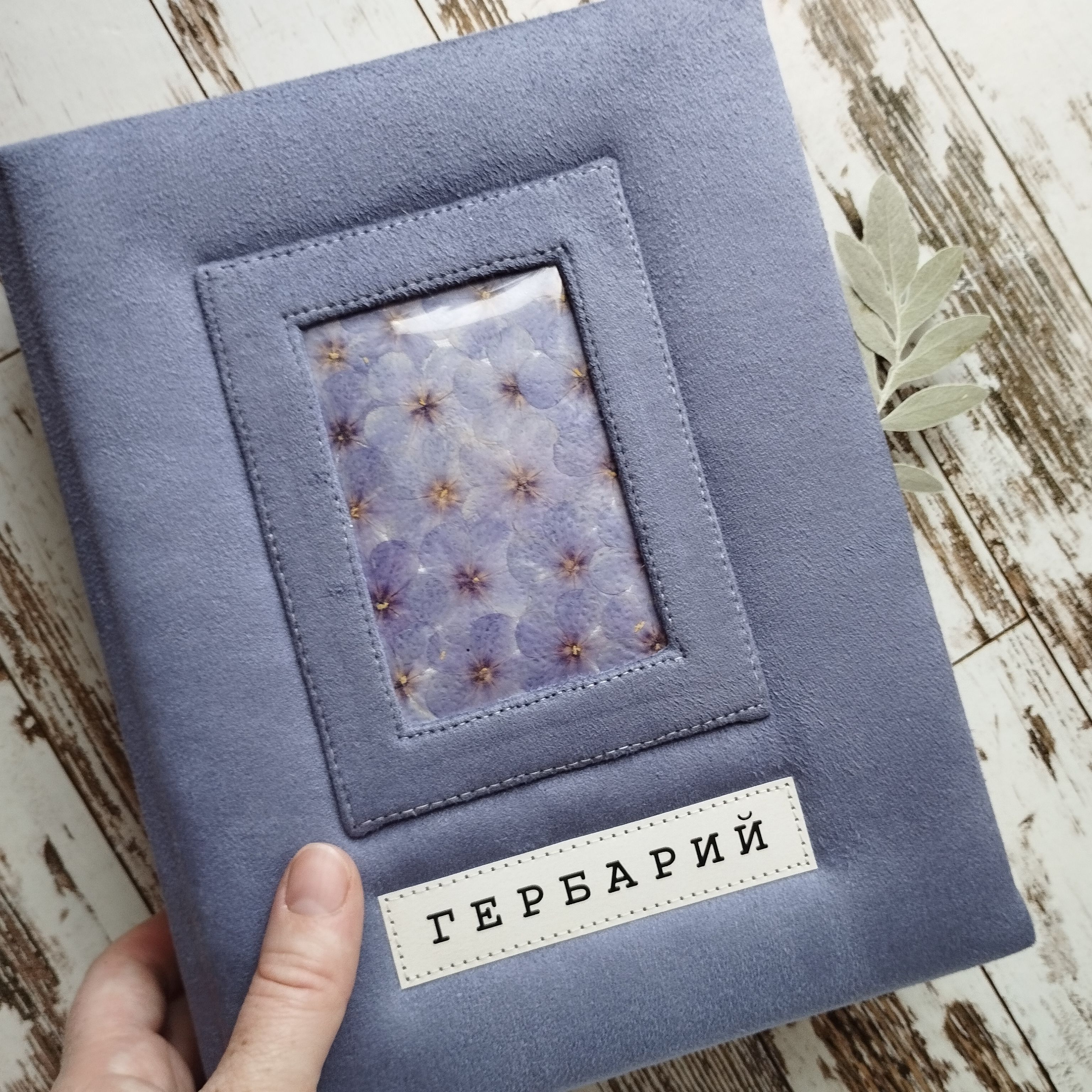 Альбом для гербария